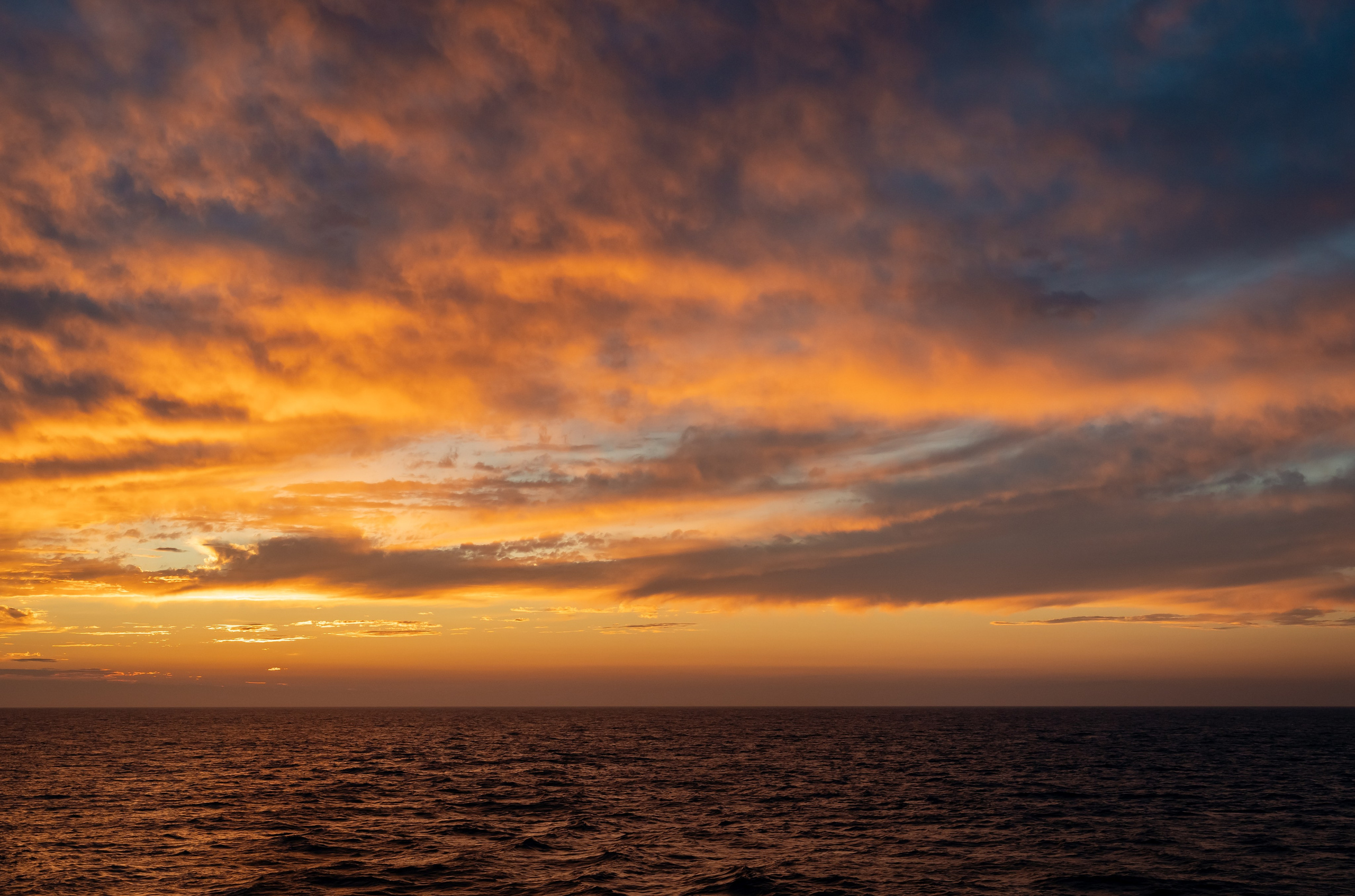 Итуруп. Семейный фотограф Варвара Сорока в городе Москве