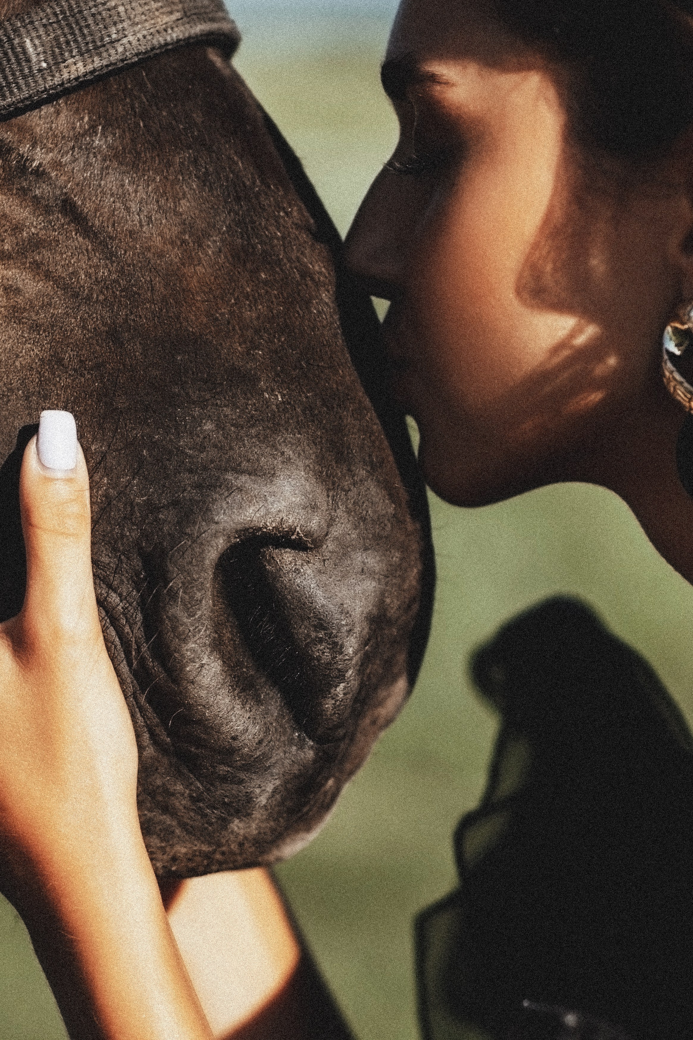 Горный Крым. Свадебный и семейный фотограф и видеограф, Крым, Москва, Санкт -Петербург