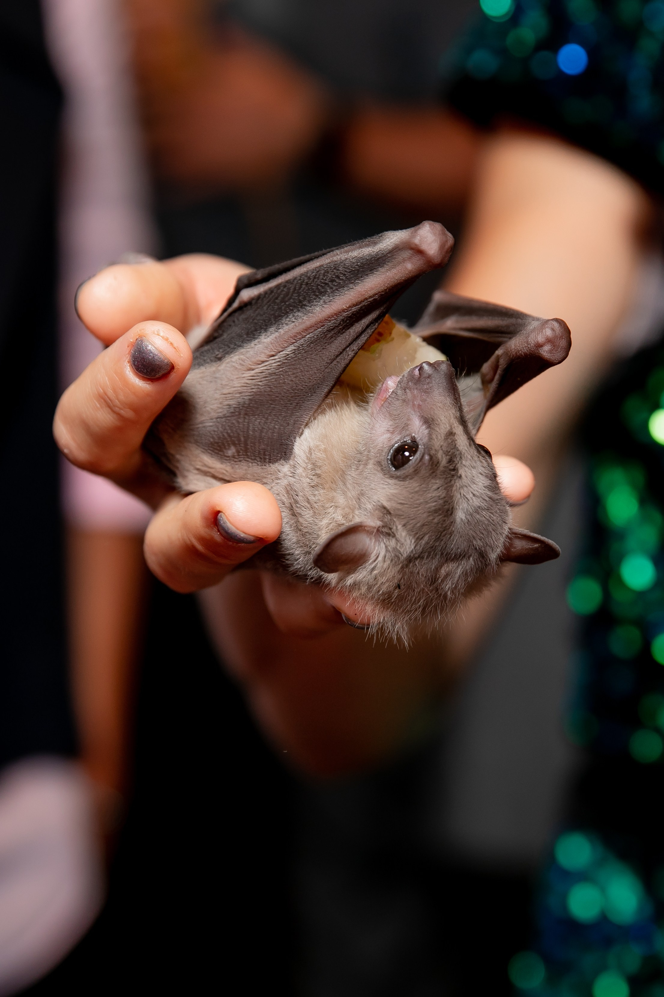 Дни рождения взрослые. Семейный фотограф в Москве