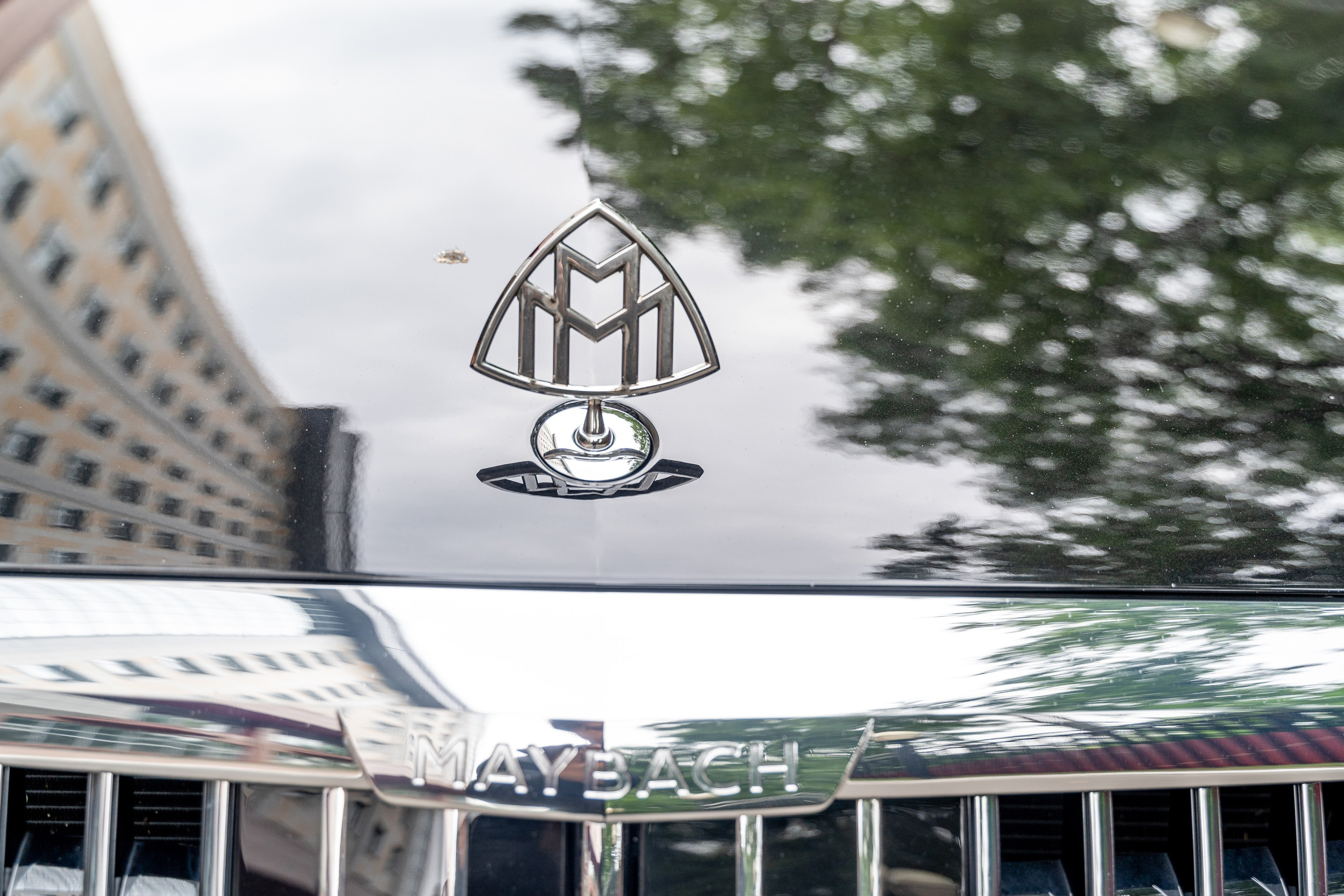 Дмитрий и Вика. Архив