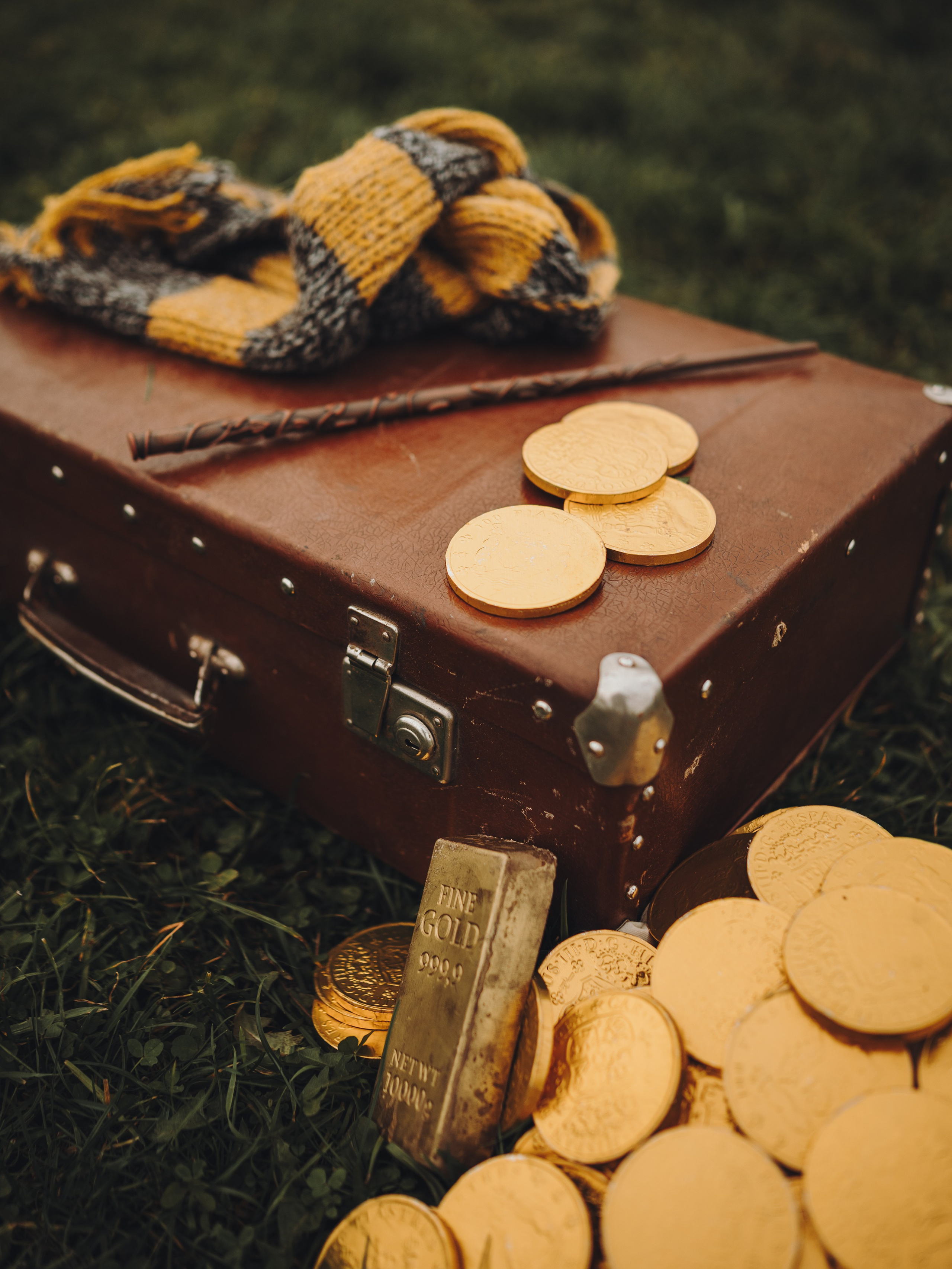 Лилу, Ри и Тучка. Семейный фотограф анималист Ананьева Мария — Москва