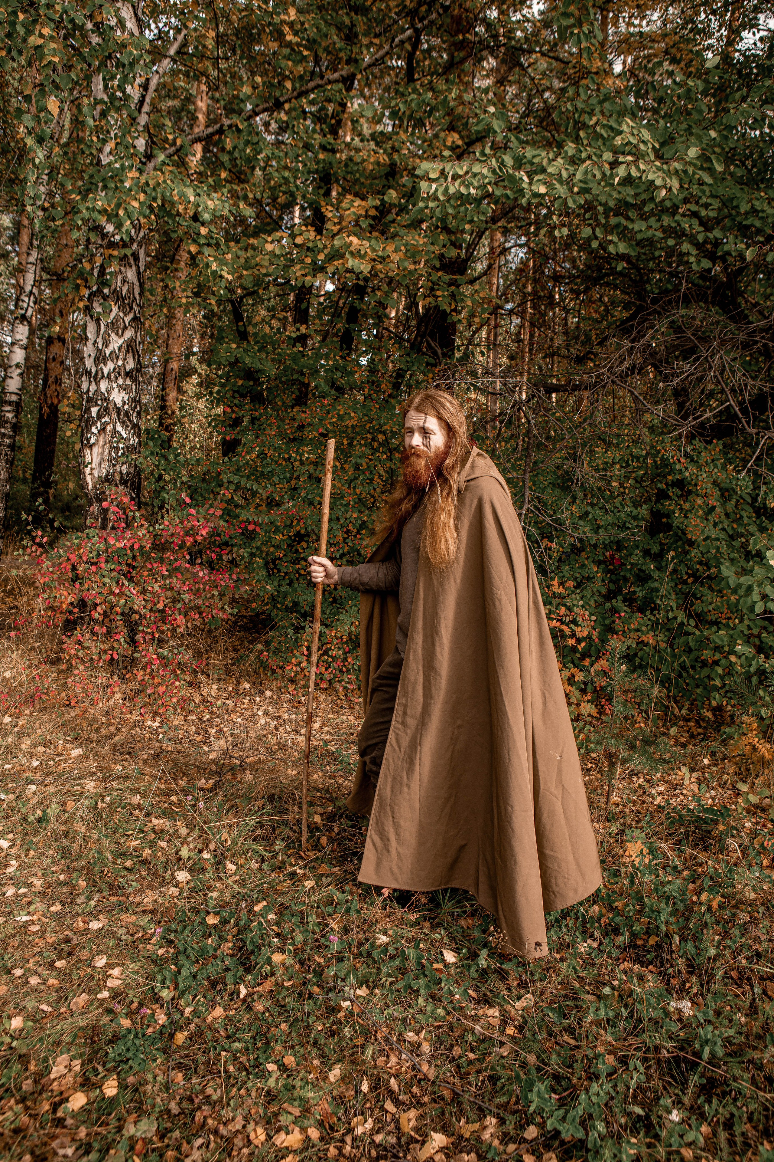 Волшебный лес. Фотограф Екатерина Голицына