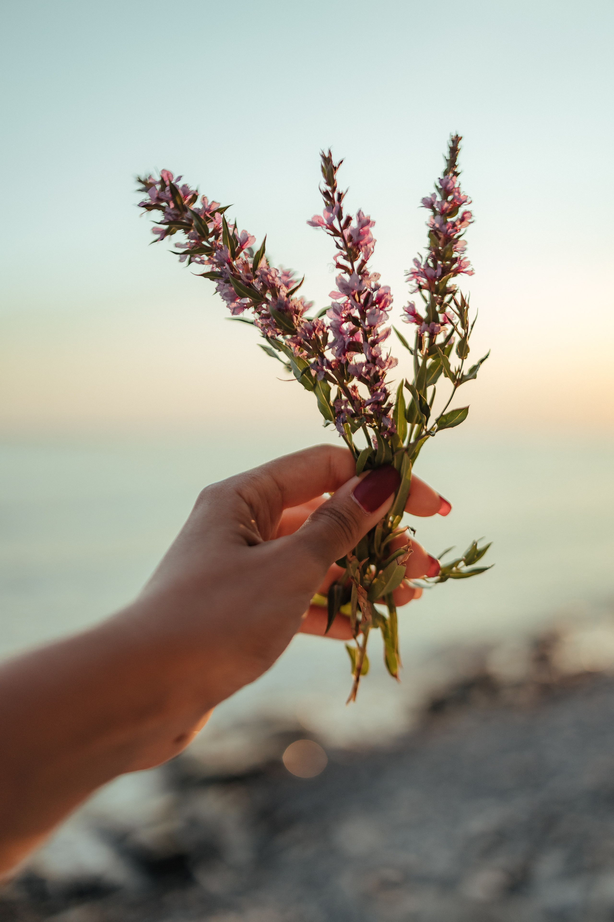 Андрей, Елена и Егор
