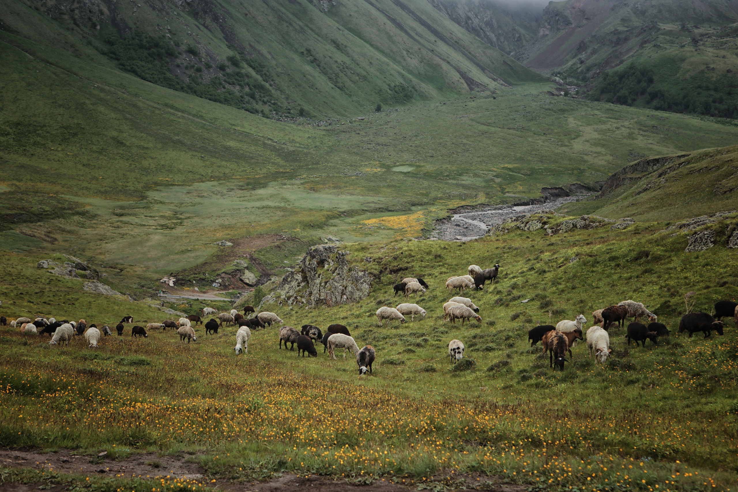 Интерьерные фотокартины. Фотограф Наталья Туева FineArt съёмка