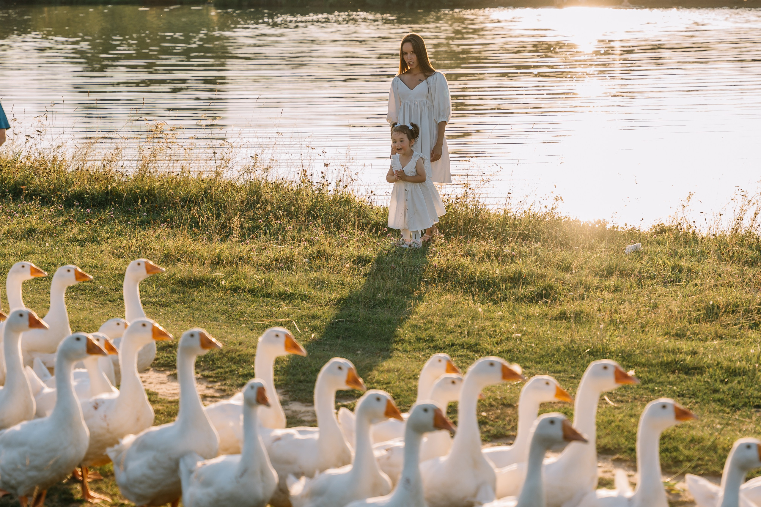 Солнце.Закат.Поле