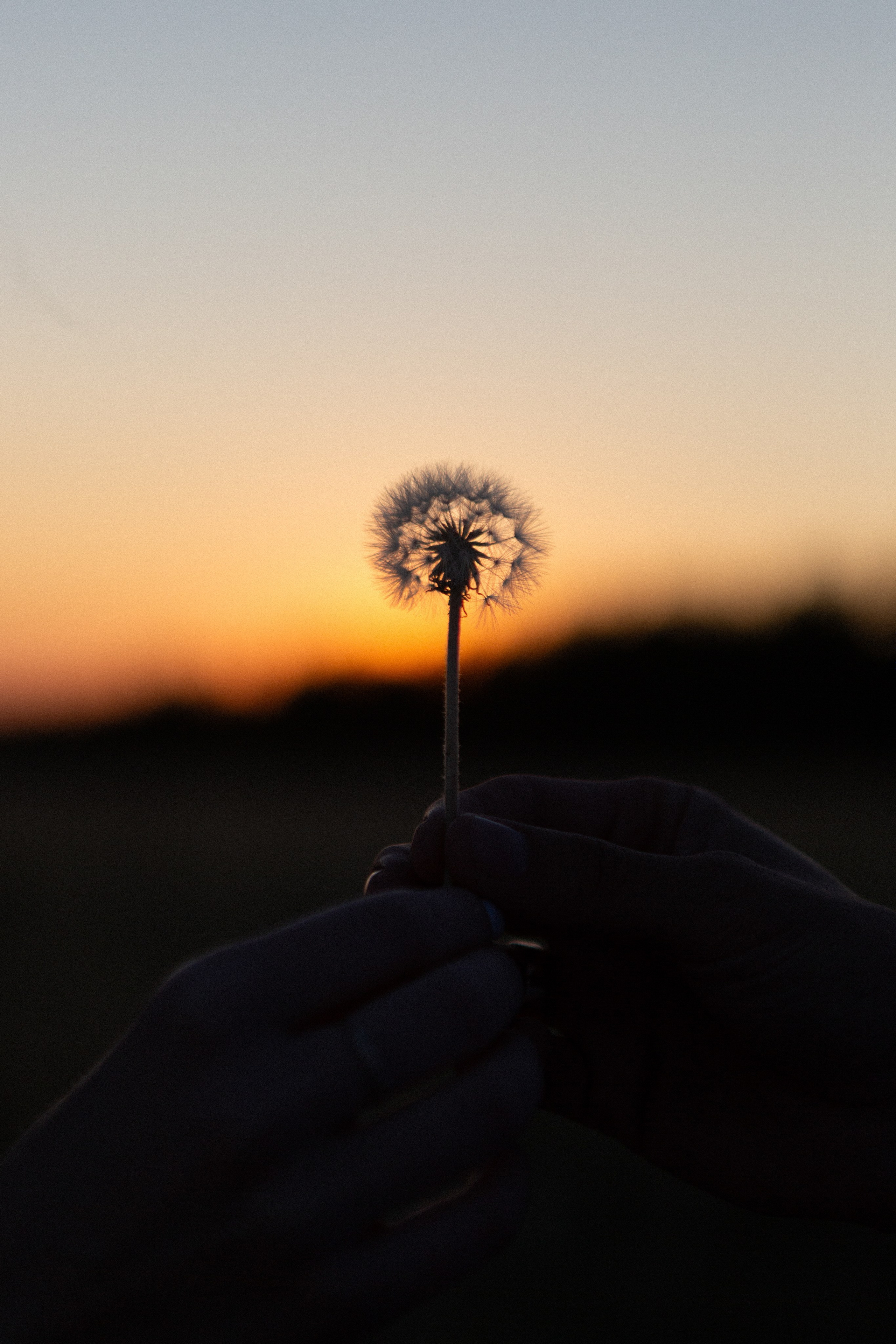 Лёша и Настя. Свадебный и семейный фотограф в Санкт-Петербурге Дмитрий Панин