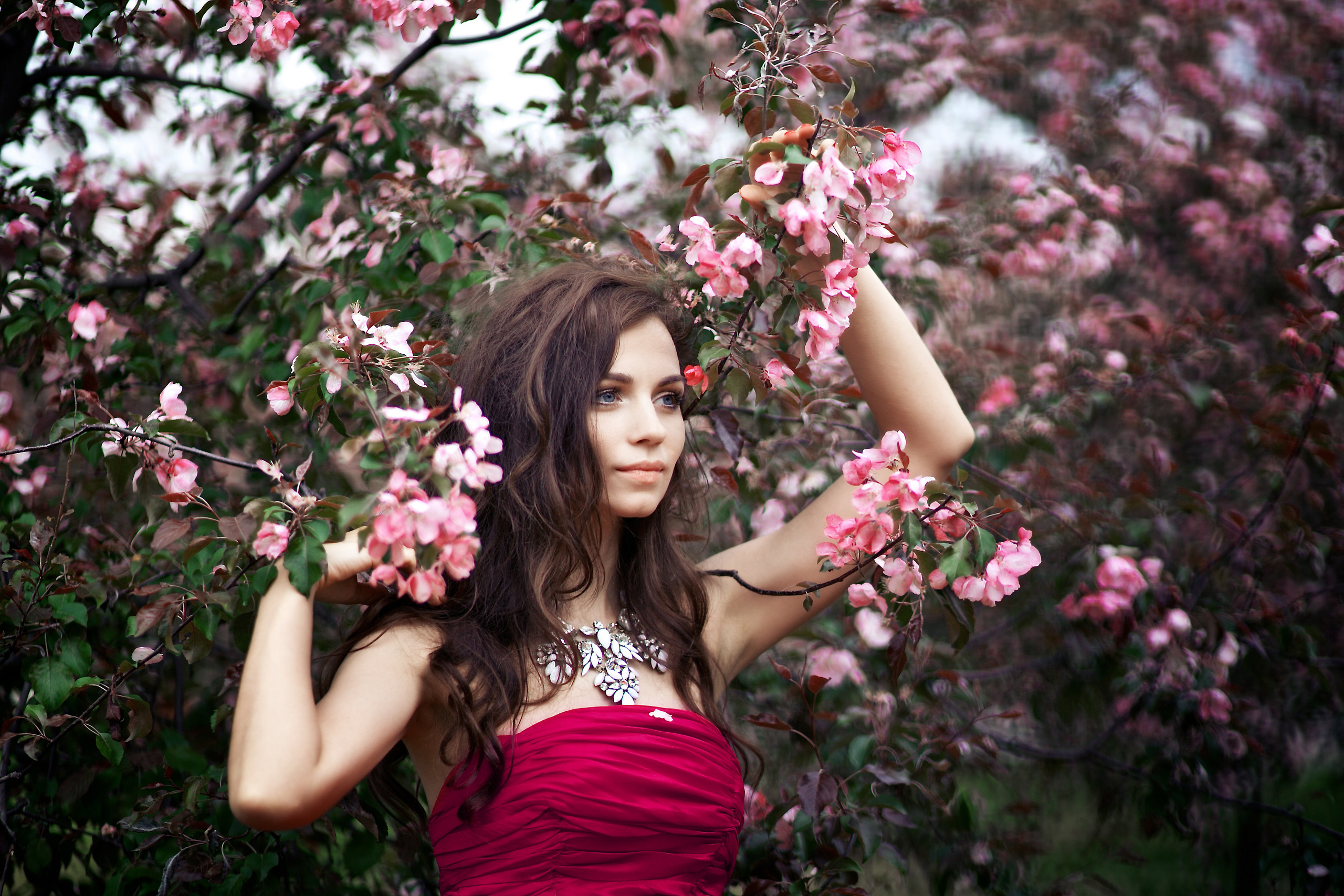 Елена. Семейный и портретный фотограф, Москва, Калуга. Анастасия Андрексон