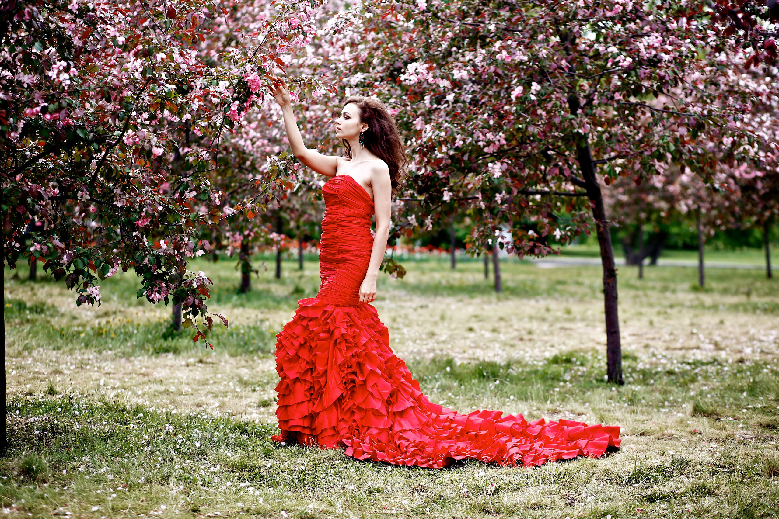 Елена. Семейный и портретный фотограф, Москва, Калуга. Анастасия Андрексон