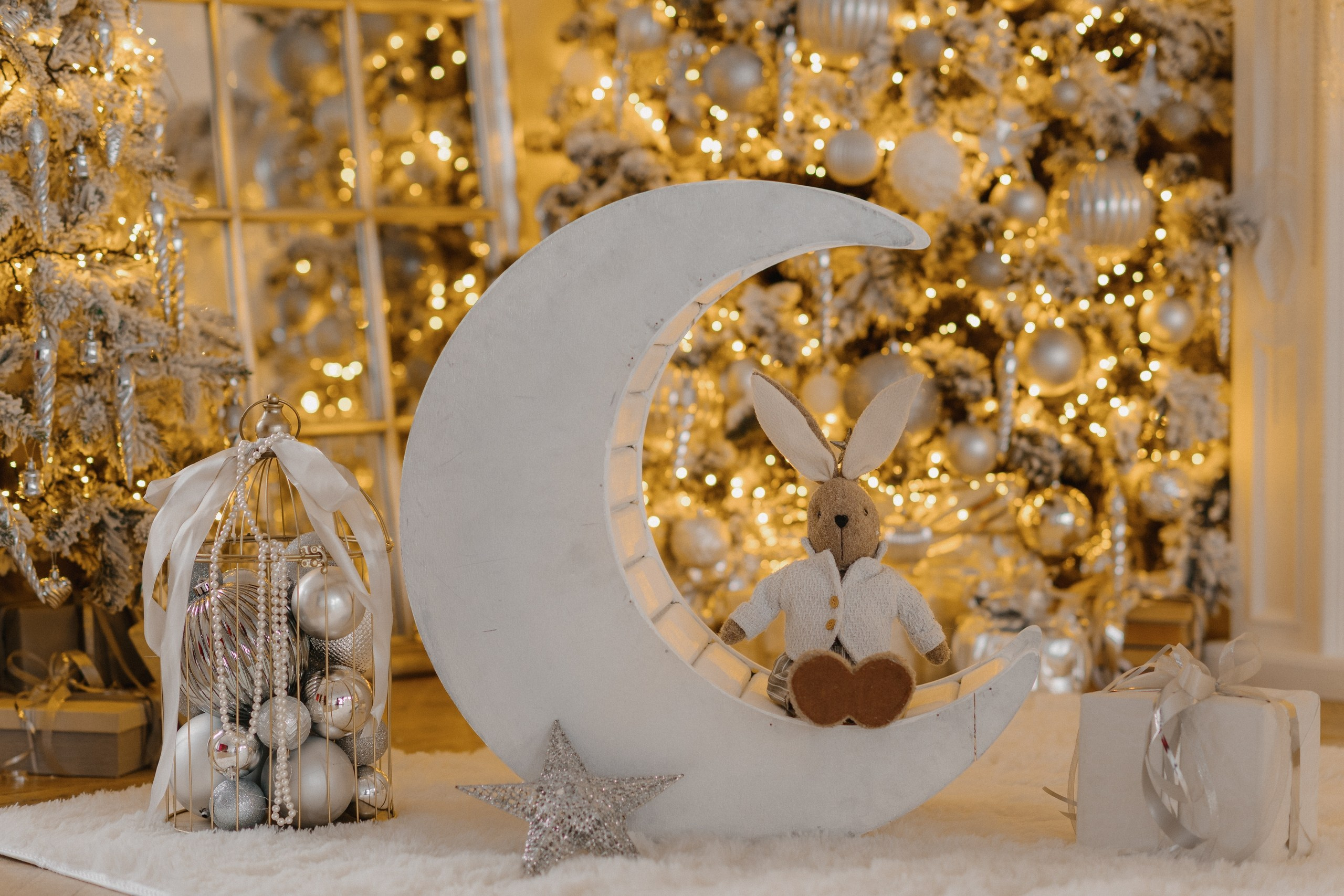 Новогодняя фотосессия в Туле. Портретный, семейный, свадебный фотограф. Бизнес, контент съёмка. Тула