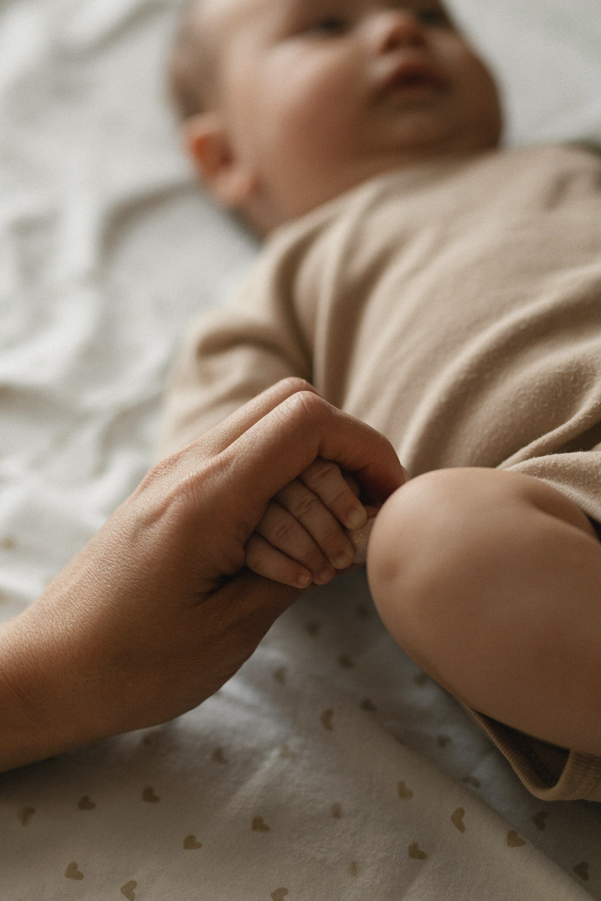 «ТРОЕ В ДОМЕ, НЕ СЧИТАЯ СОБАКИ». Maria Startseva Photo