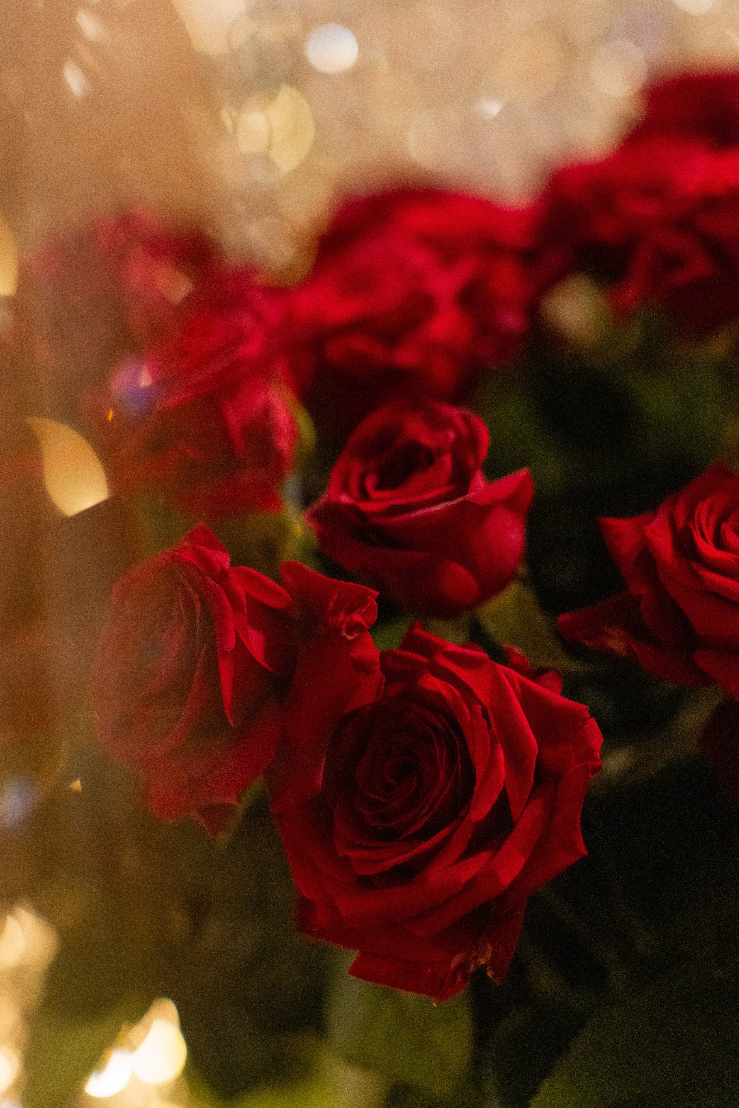 PrivateEvent. Главная