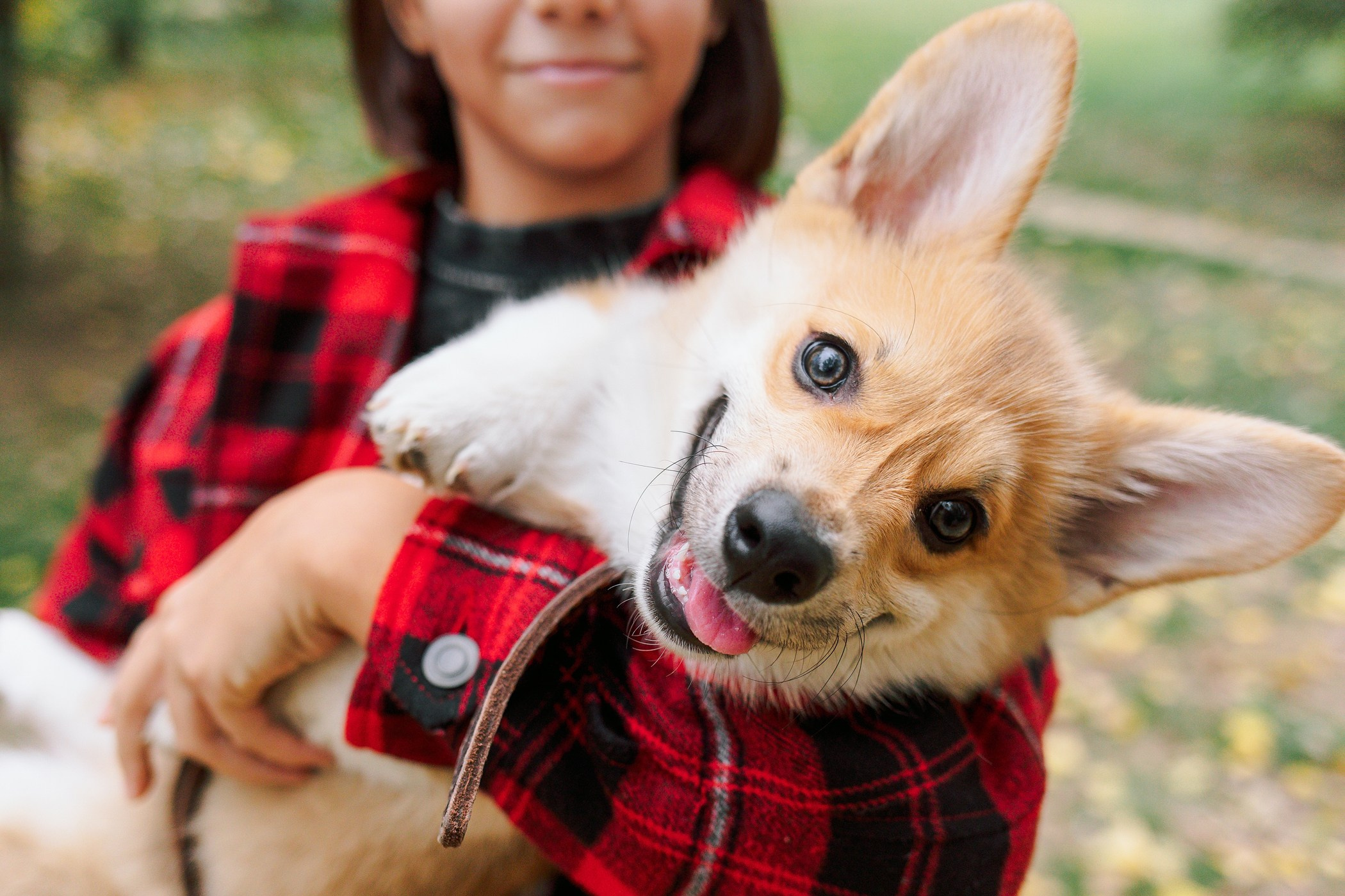 Стич. Семейный, репортажный, свадебный фотограф в Краснодаре Артур Александрин