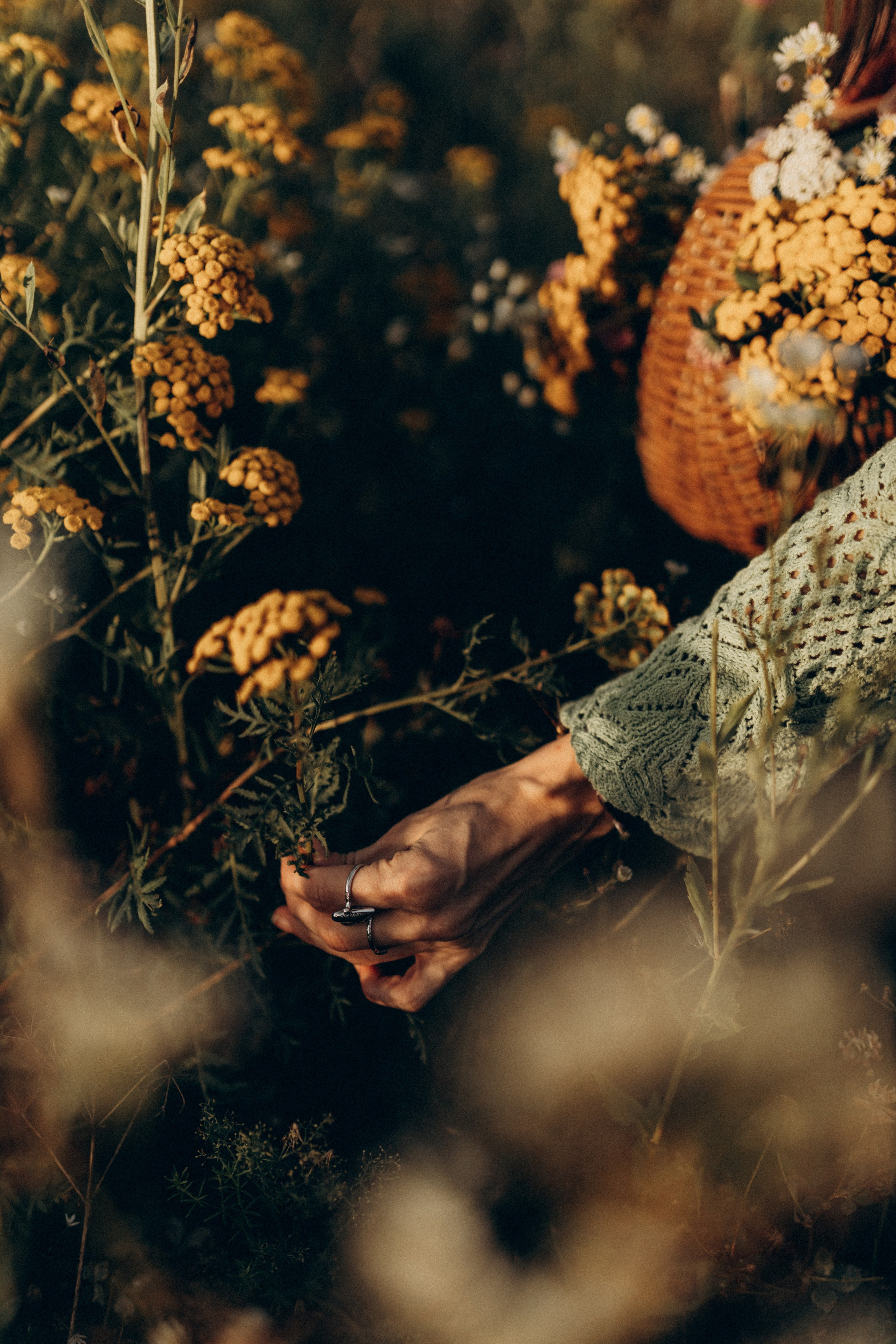 Полина. Фотограф НОГИНСК, Москва, Анастасия Белая