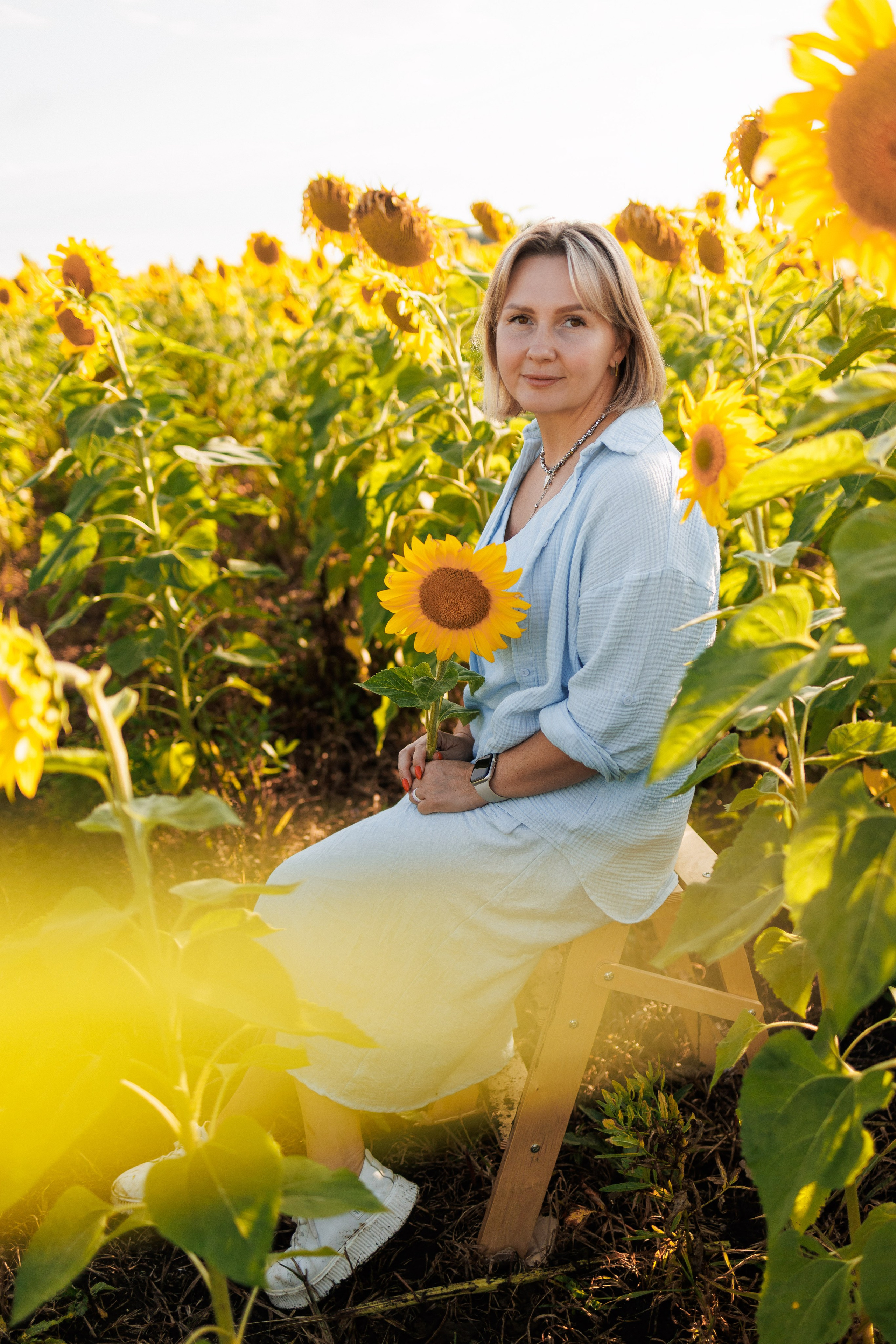 В поле подсолнухов. Семейный фотограф г. Тюмень