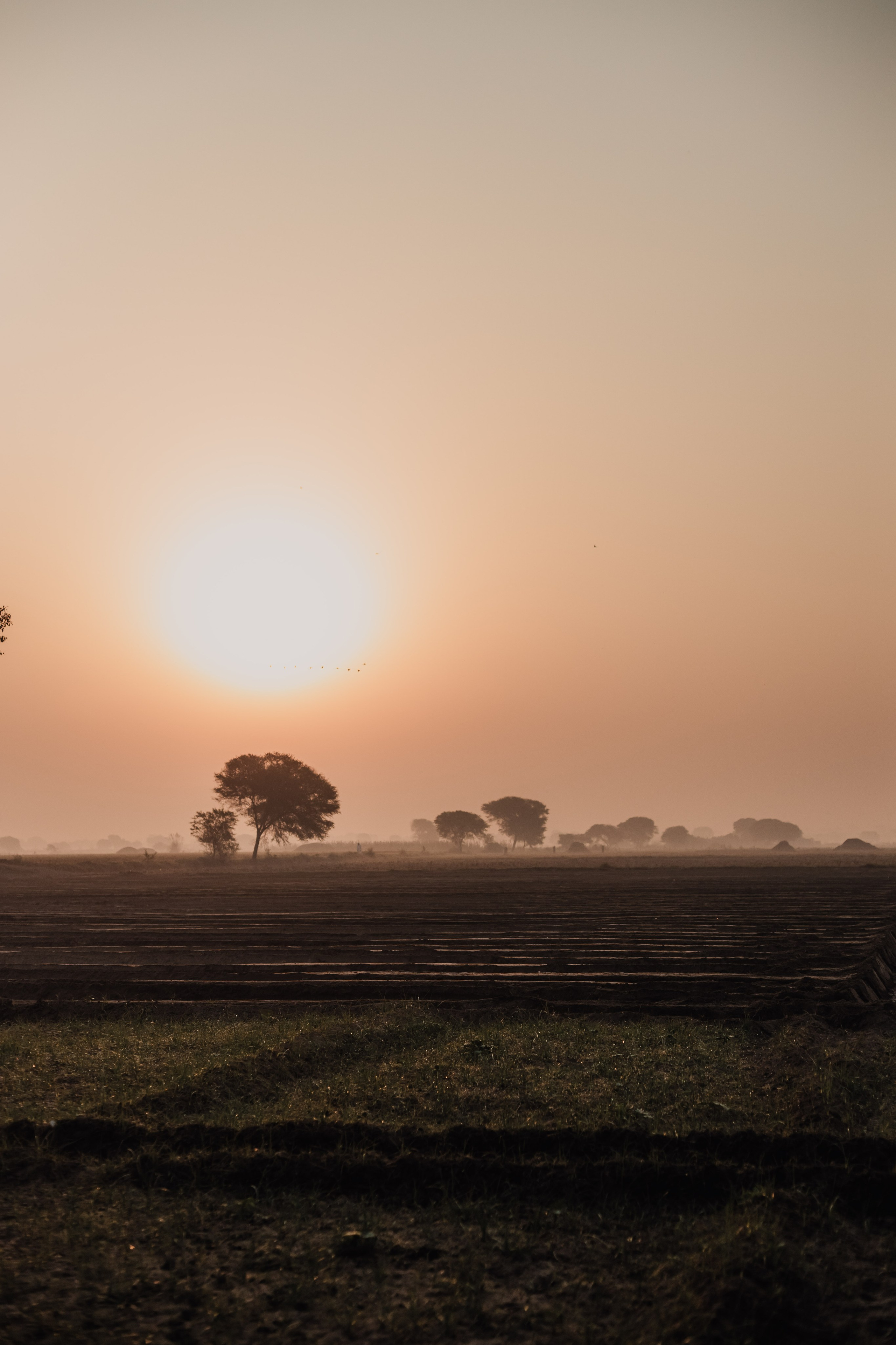 Manipura Devi. Мариам Багдасарян