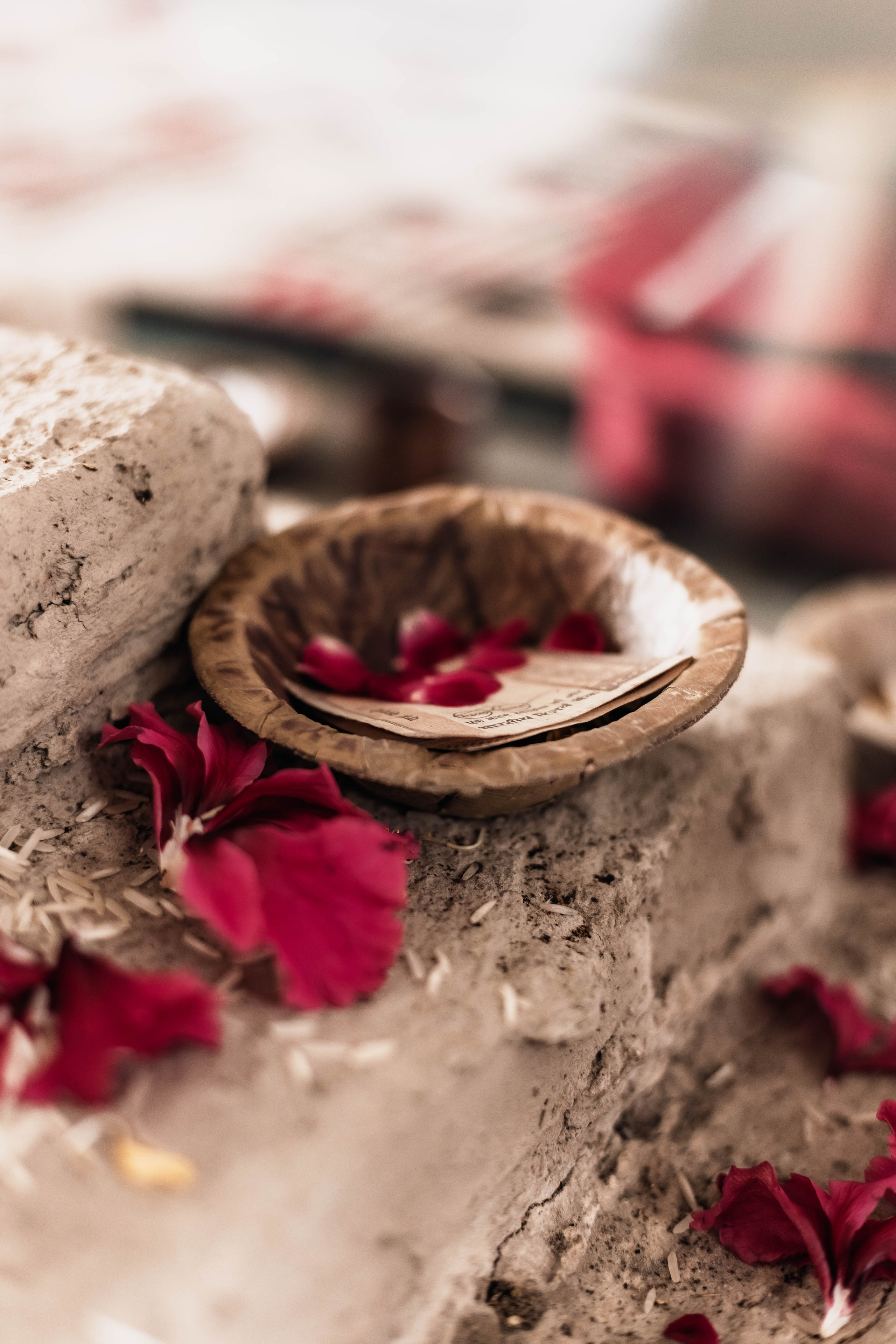 Pitri Paksha yagyas & poojas Devraha Baba ji ashram. Mariam Bagdasaryan