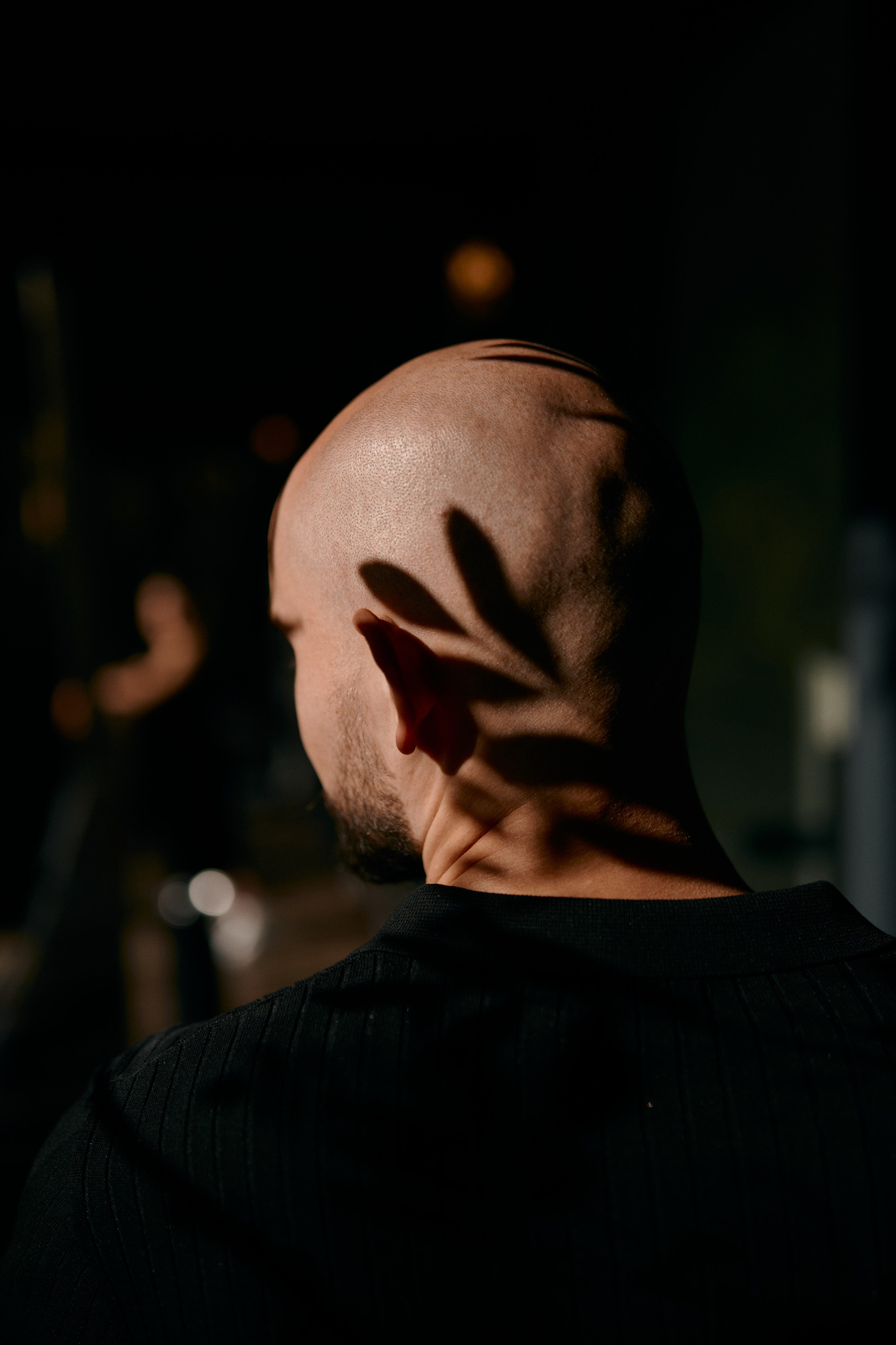 Свадебный фотограф в Барнауле. Сергей Богомолов. Свадебный и семейный фотограф