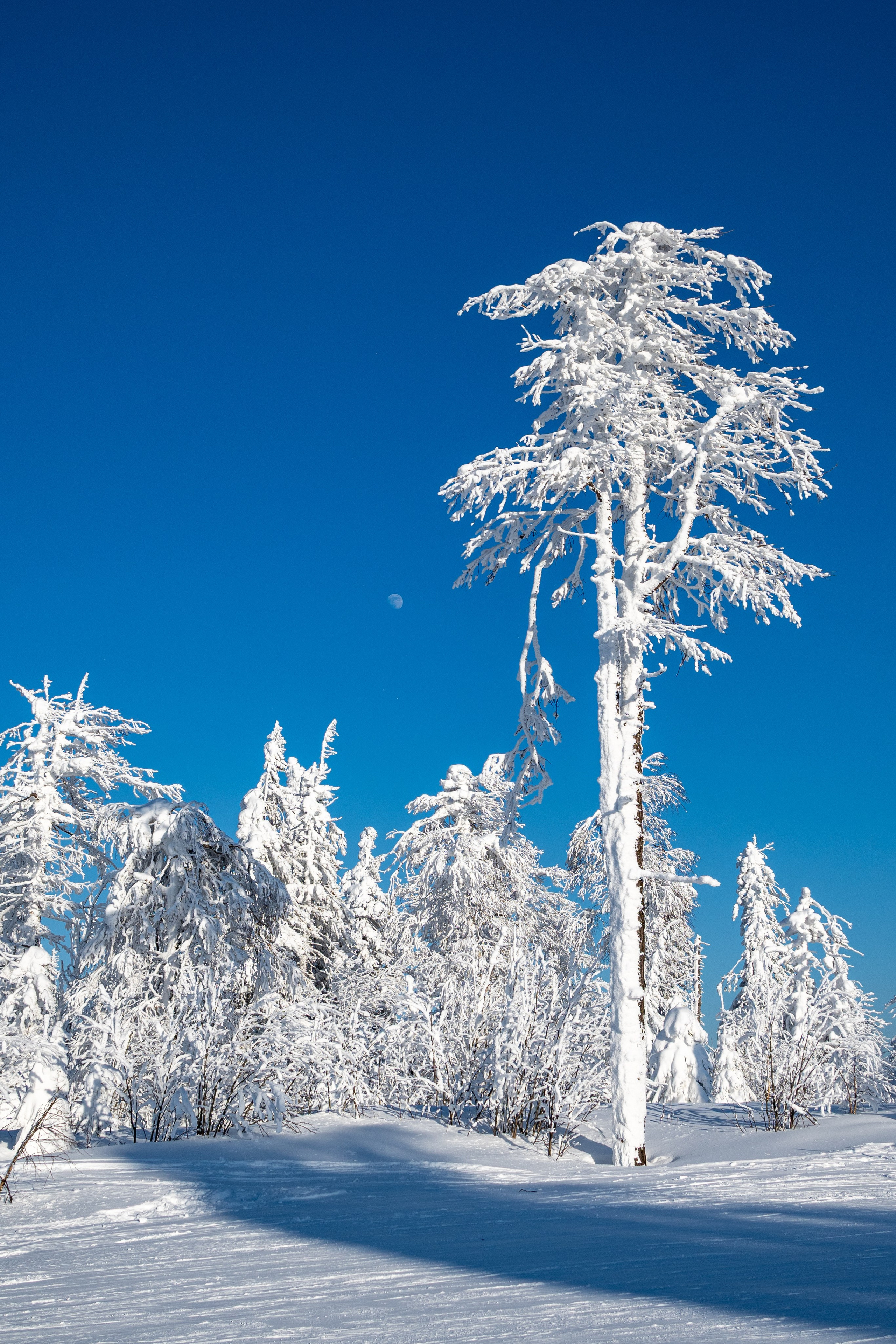 Репортаж/Портреты. …