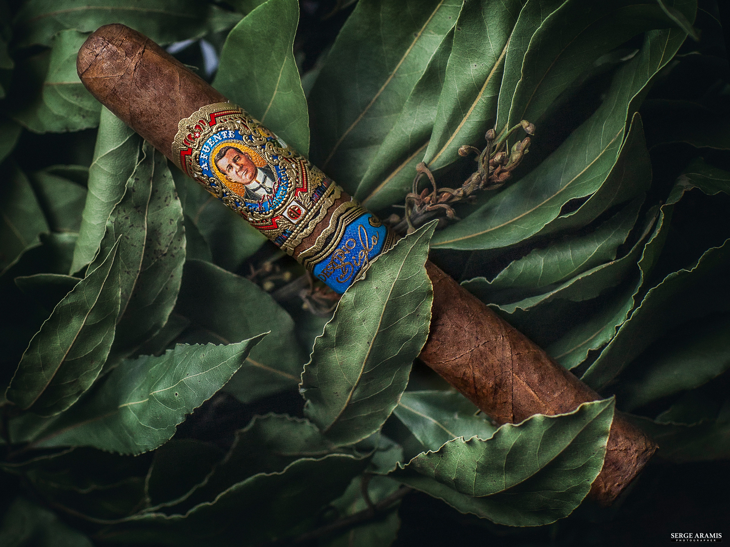 Cigar Portrait. Создание чувственного портрета от Serge Aramis