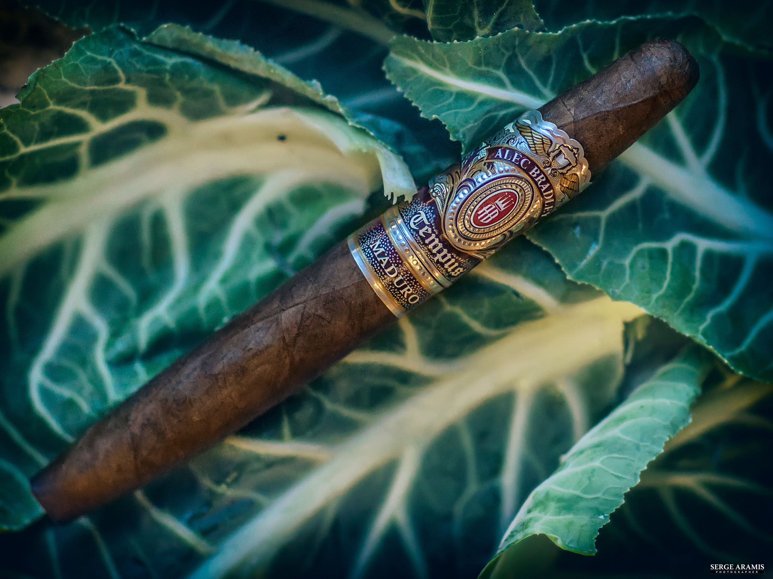 Cigar Portrait. Создание чувственного портрета от Serge Aramis