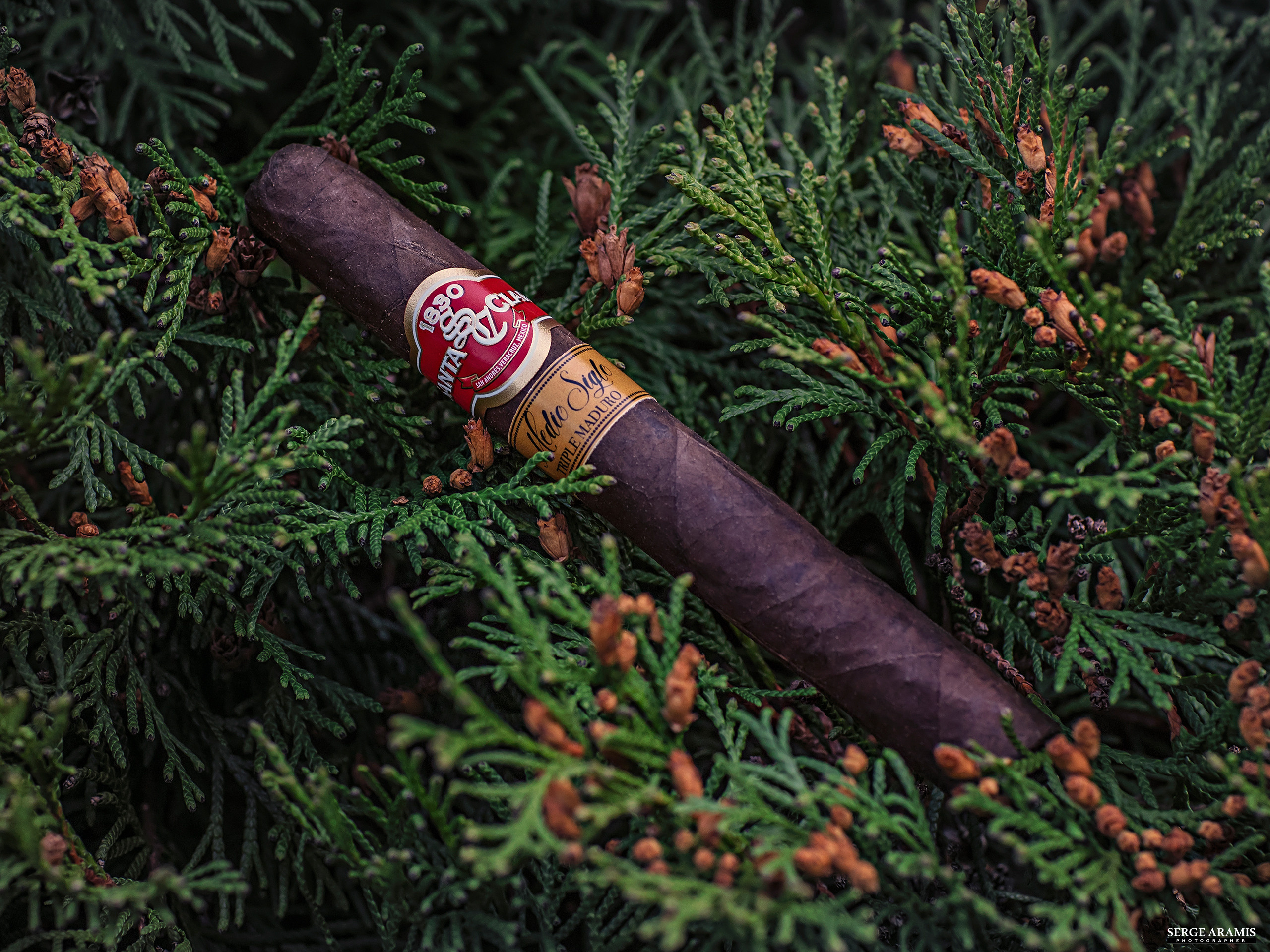 Cigar Portrait. Создание чувственного портрета от Serge Aramis