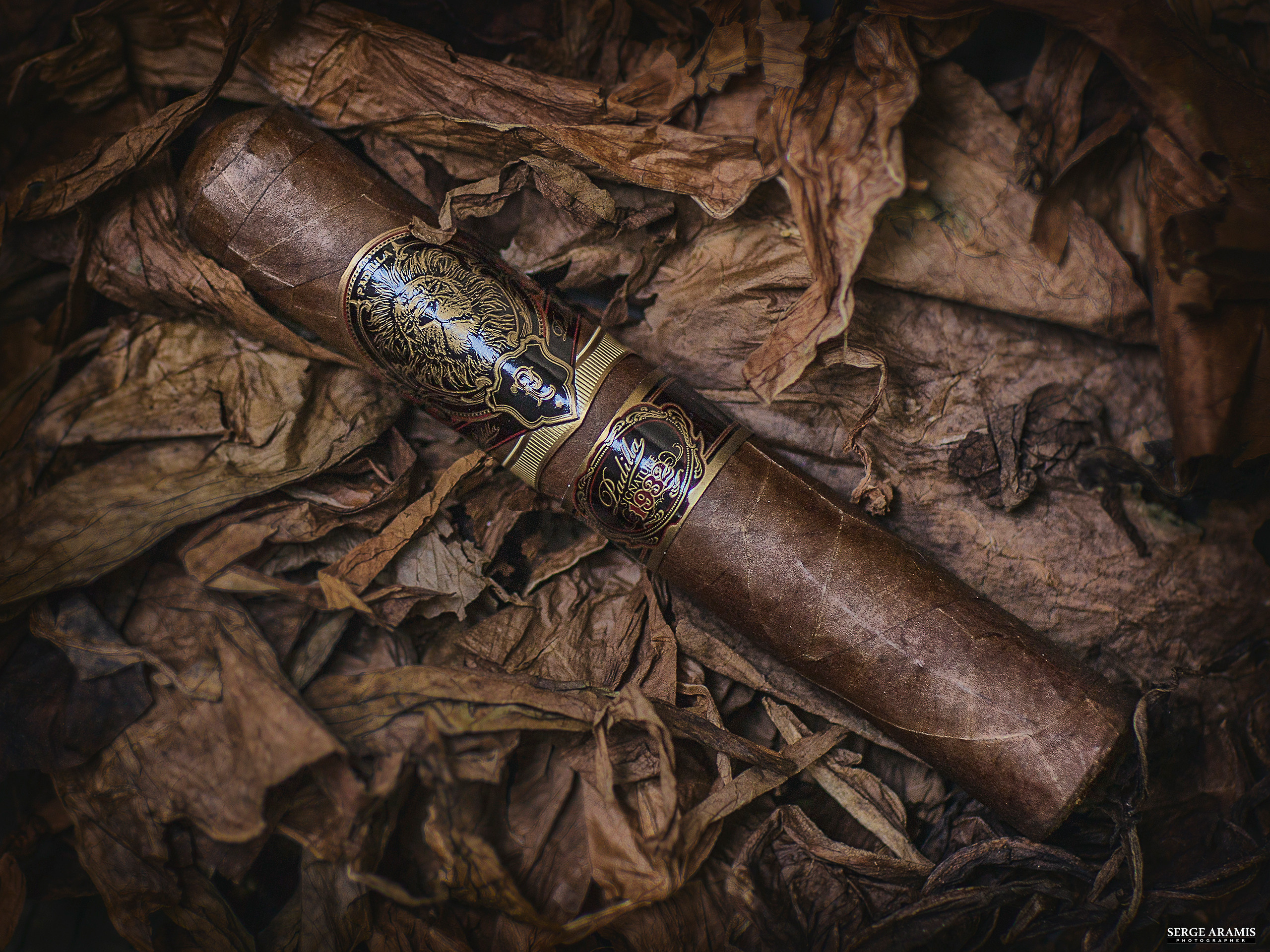 Cigar Portrait. Создание чувственного портрета от Serge Aramis