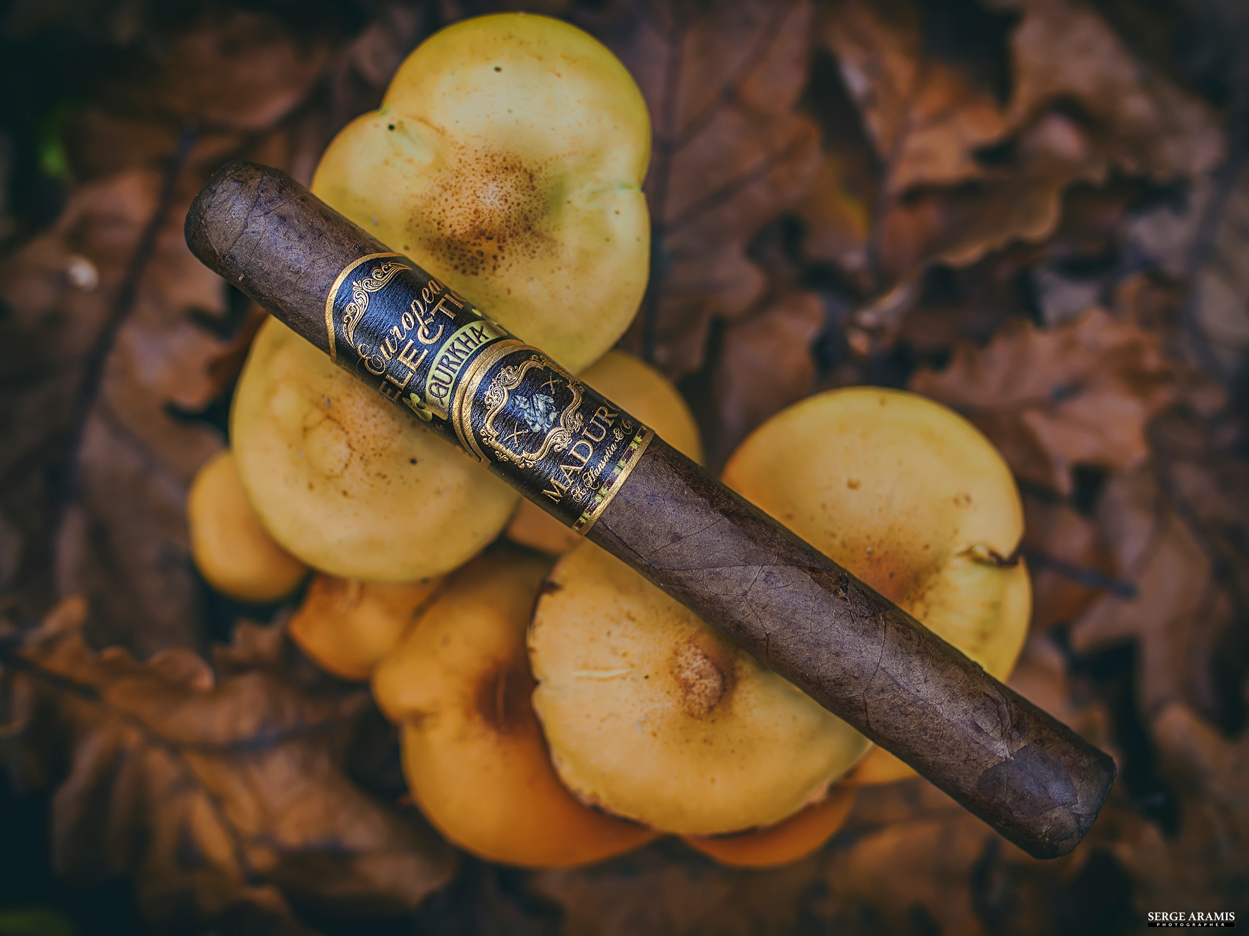 Cigar Portrait. Создание чувственного портрета от Serge Aramis