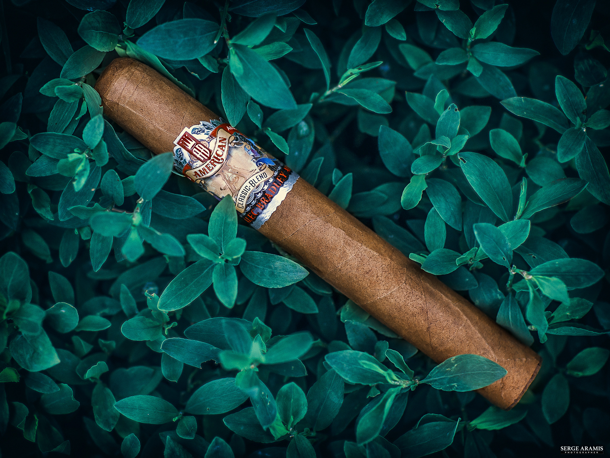 Cigar Portrait. Создание чувственного портрета от Serge Aramis