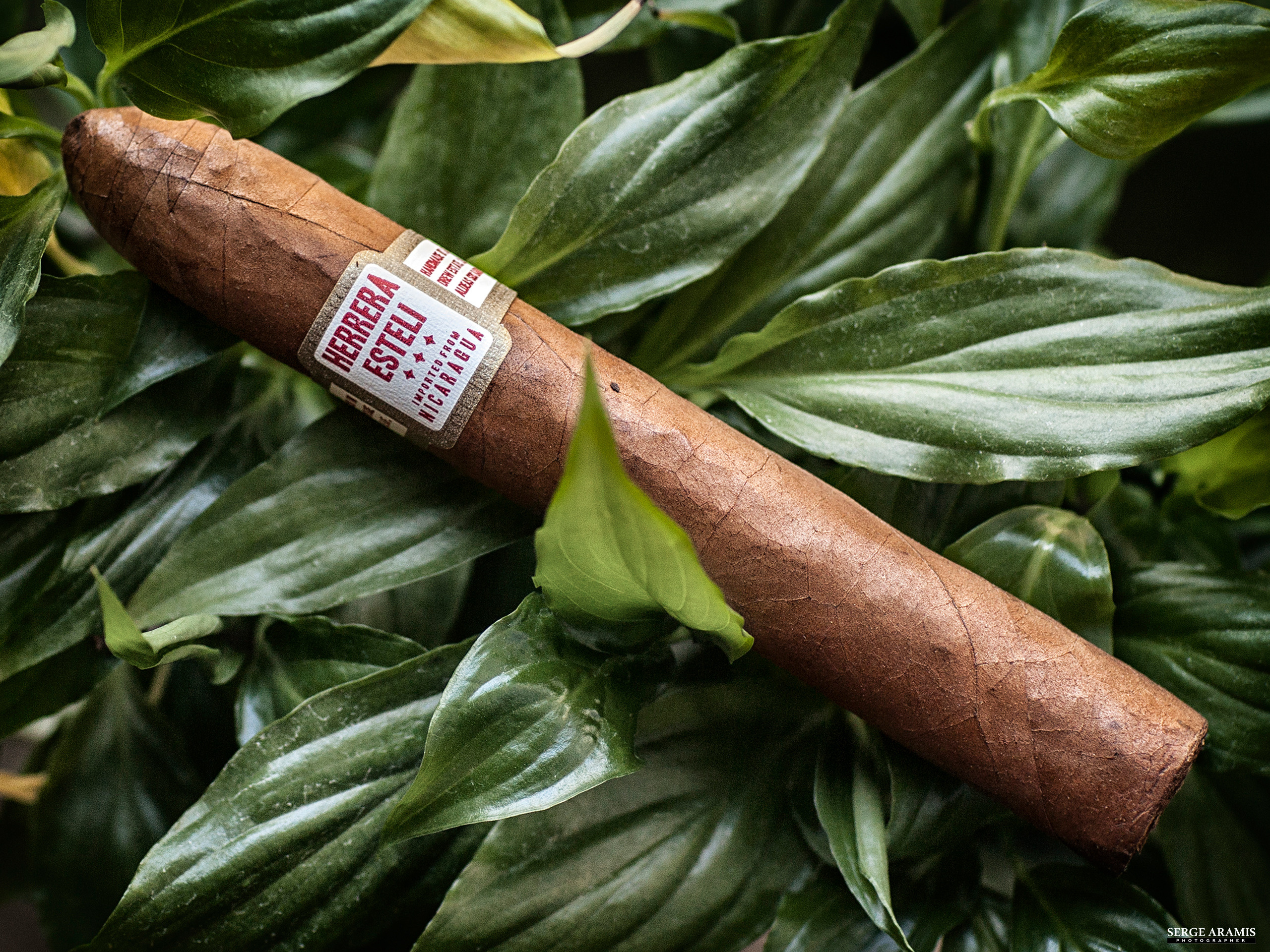 Cigar Portrait. Создание чувственного портрета от Serge Aramis