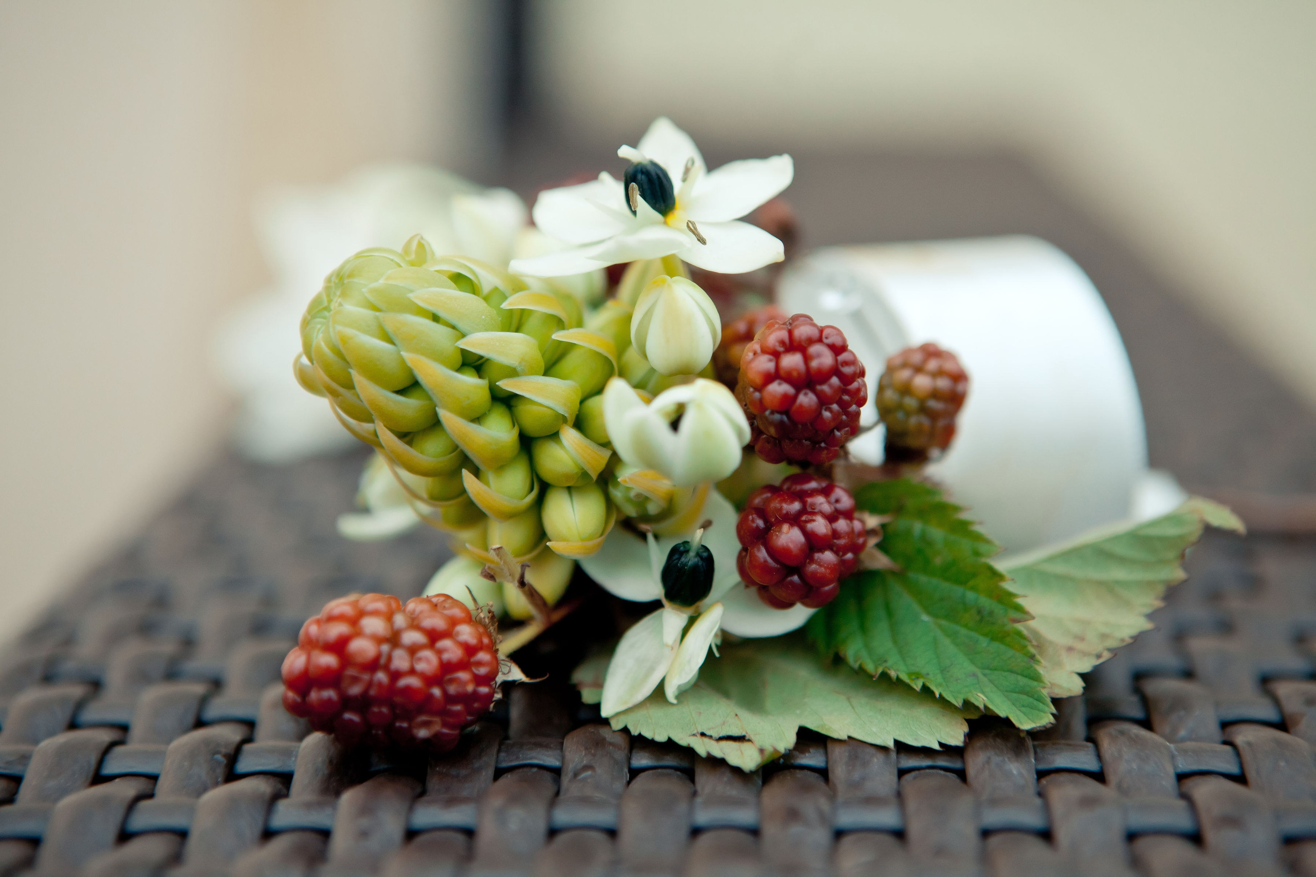 Свадьба Мистраль. Фотограф Алексей Архангельский