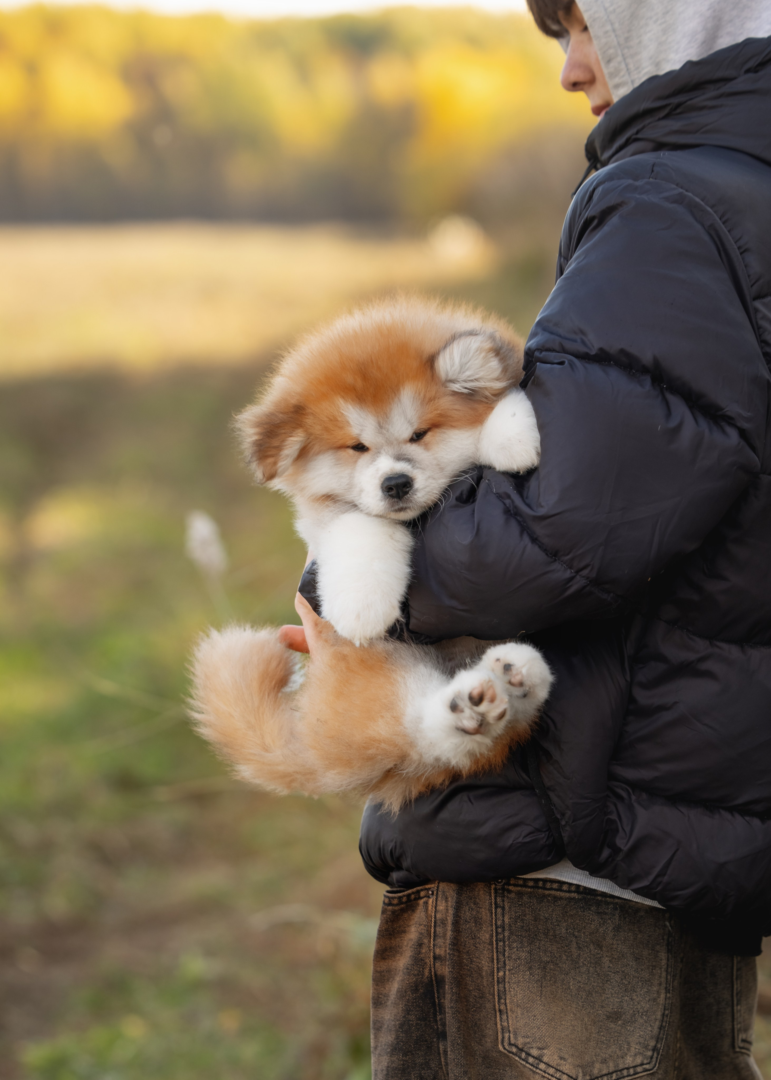 Мальчик с длинной шерстью, 90 тыс. руб. Алена Попова — фотограф в Хабаровске