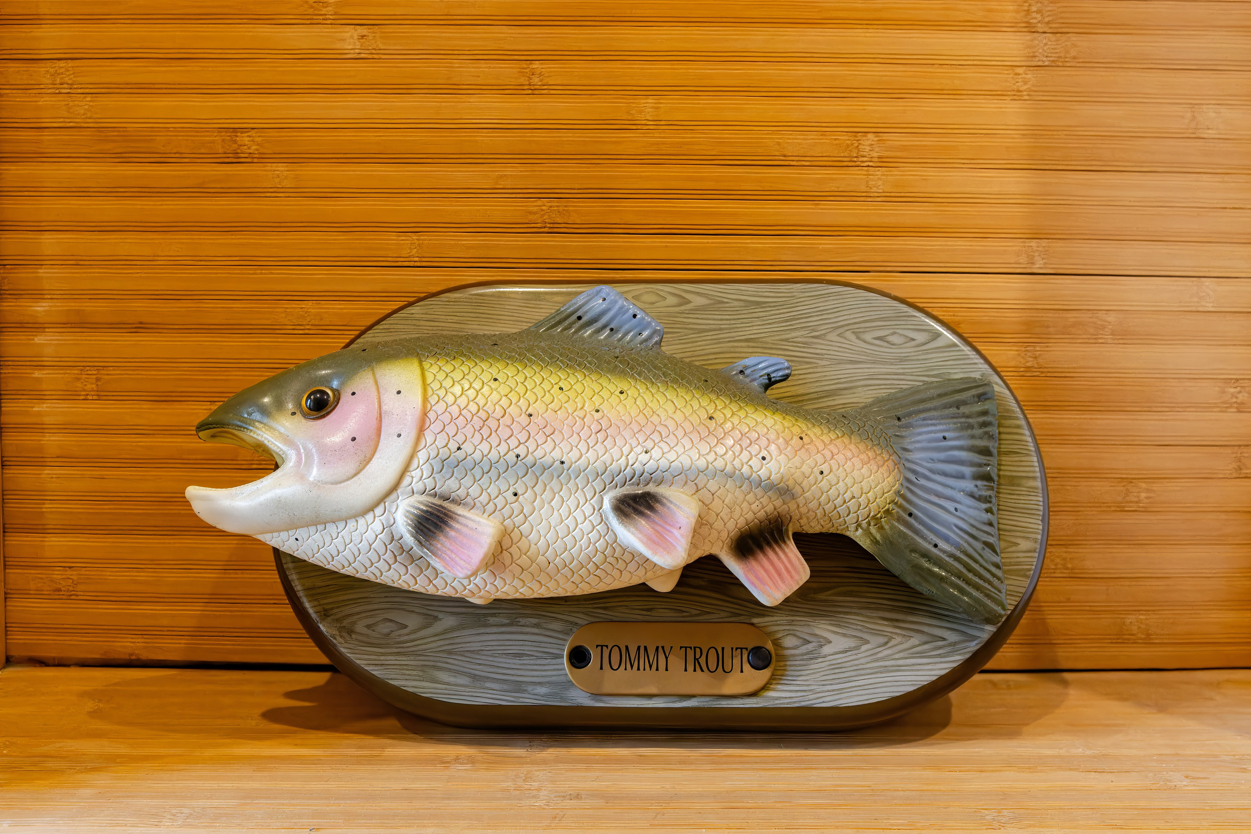 Гостевые дома «Уксунлахти» (деревня Ууксу). Аэросъемка. Фото и Видео в Карелии. Алексей Фрилунд