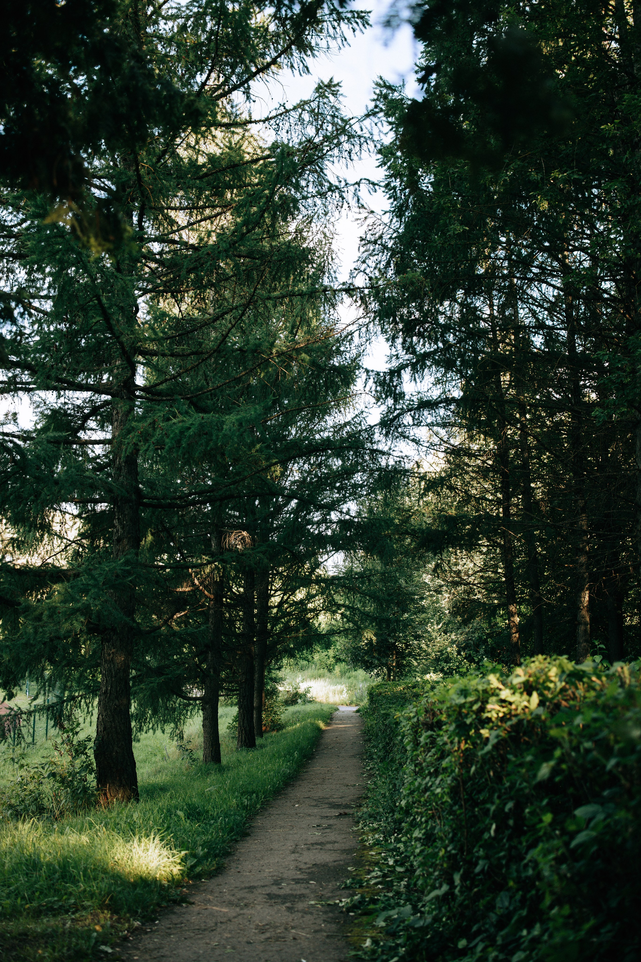 Стадион Металлург. Свадебный и семейный фотограф в Туле и области Маша Костина