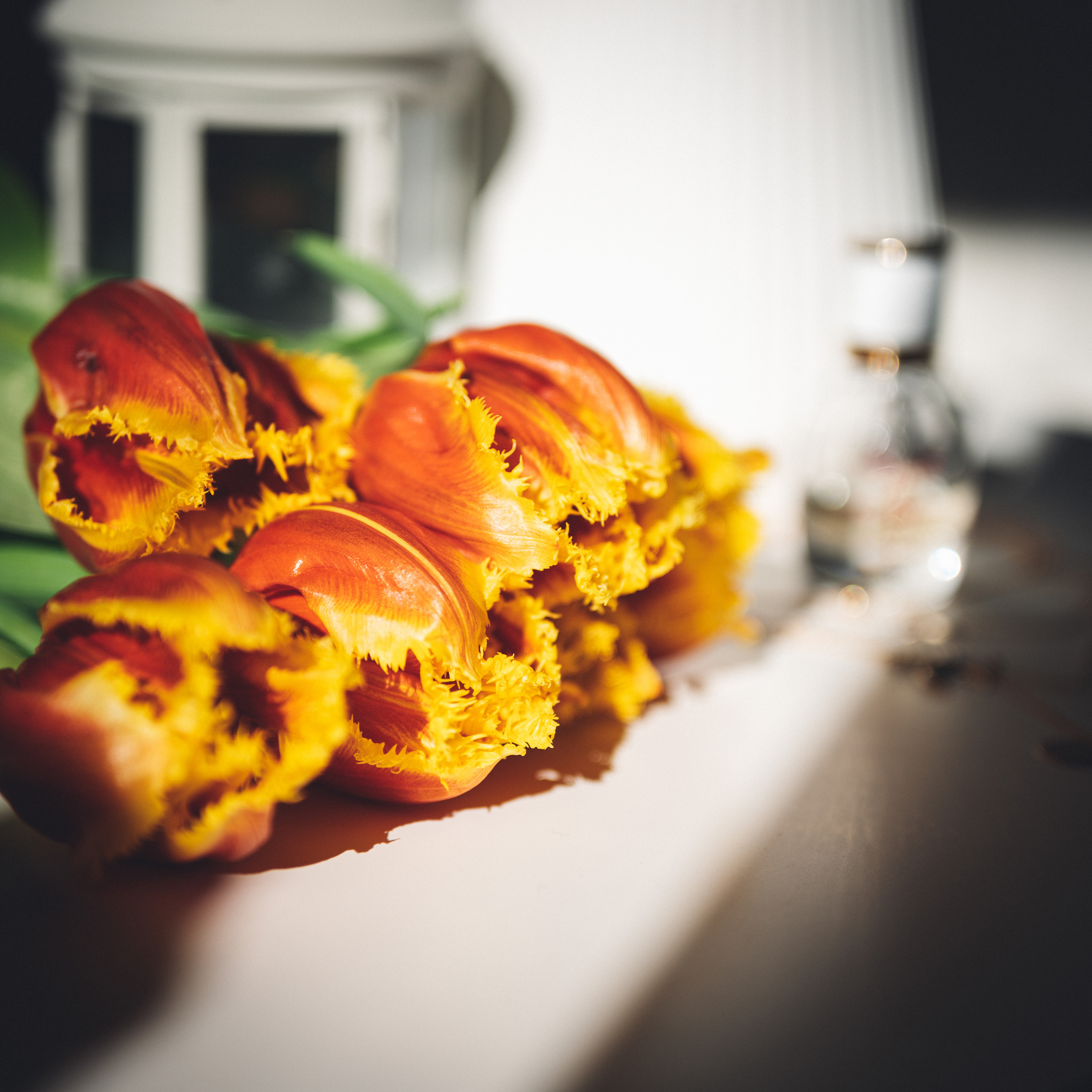 Контент. Фотограф Анна Темнова. Пенза