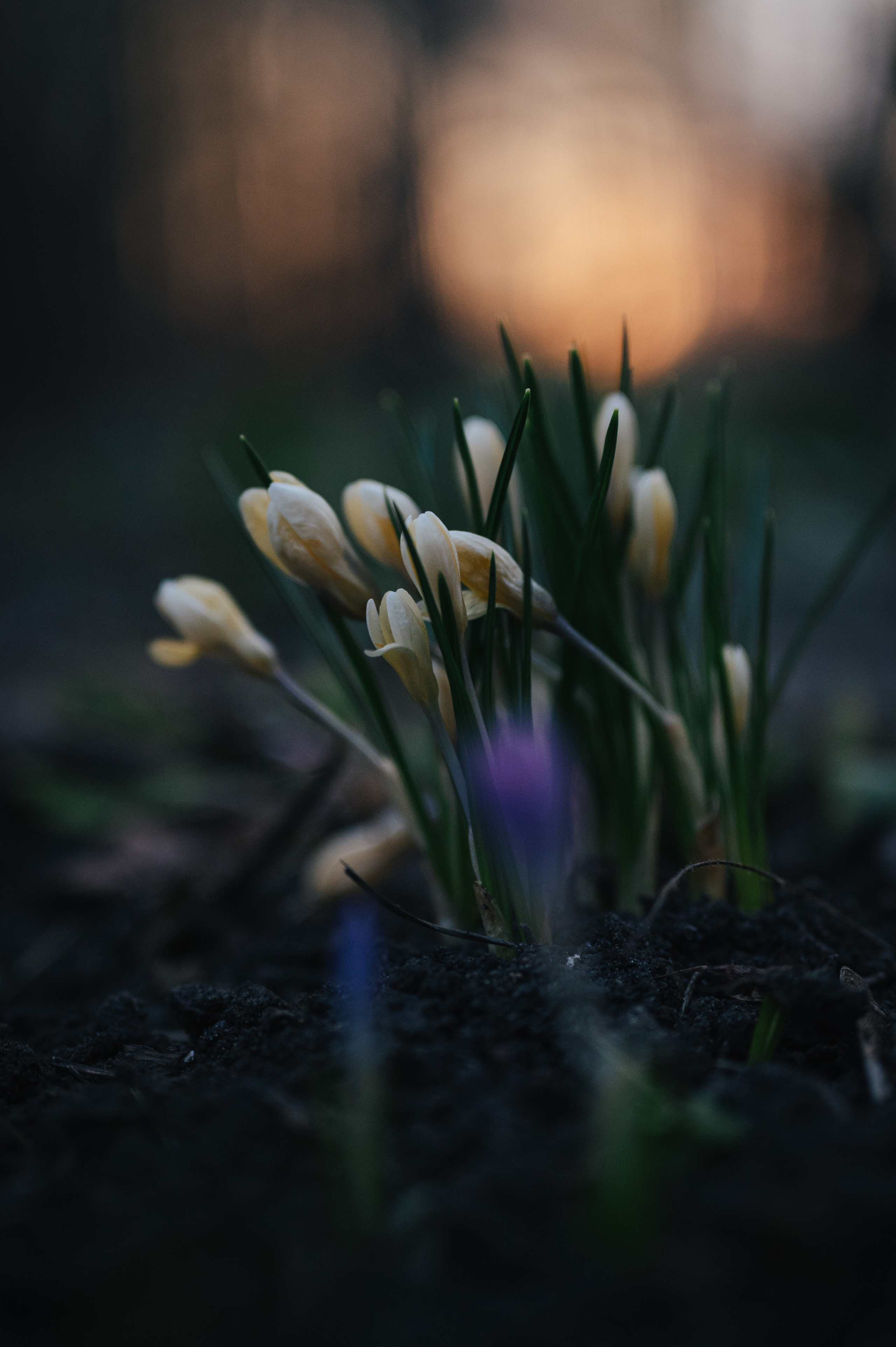 Мир вокруг. Фотограф Анна Темнова. Пенза