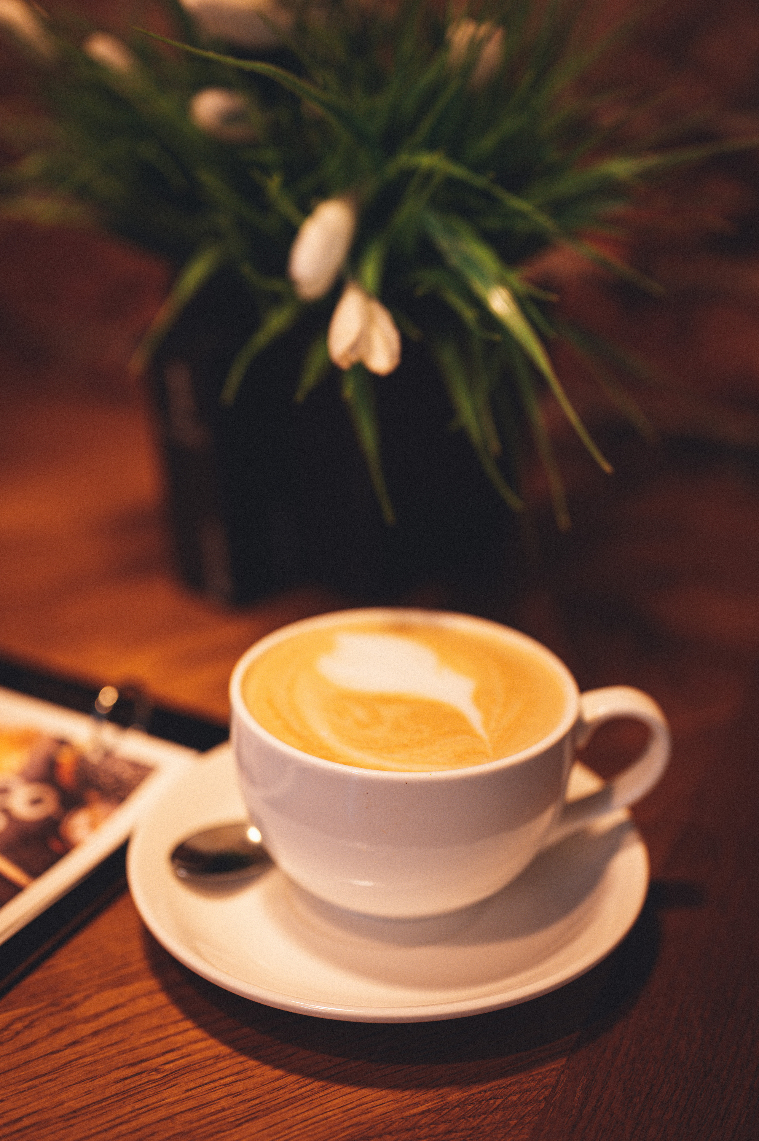 Контент. Фотограф Анна Темнова. Пенза