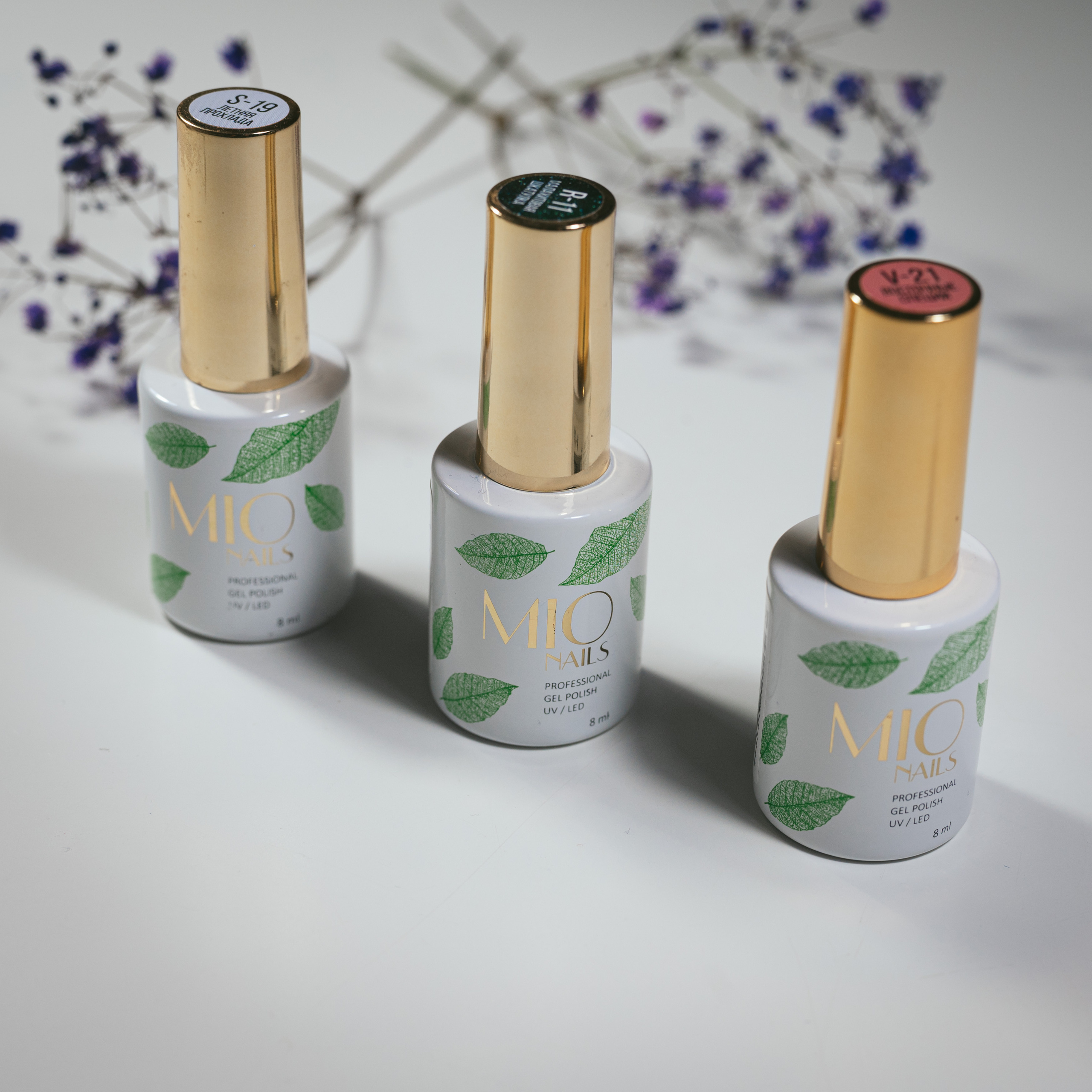 Контент. Фотограф Анна Темнова. Пенза