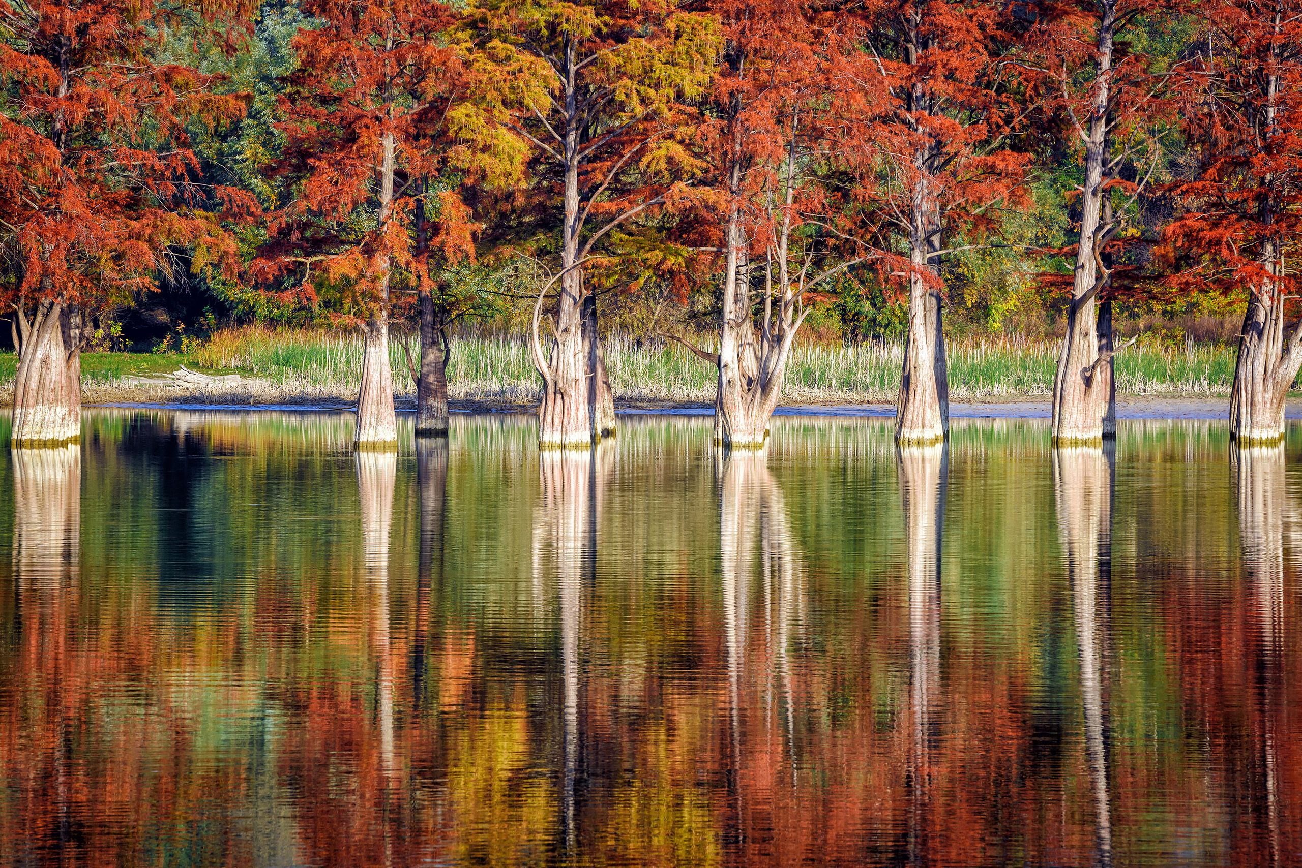 Яркие фото на Чёрном море