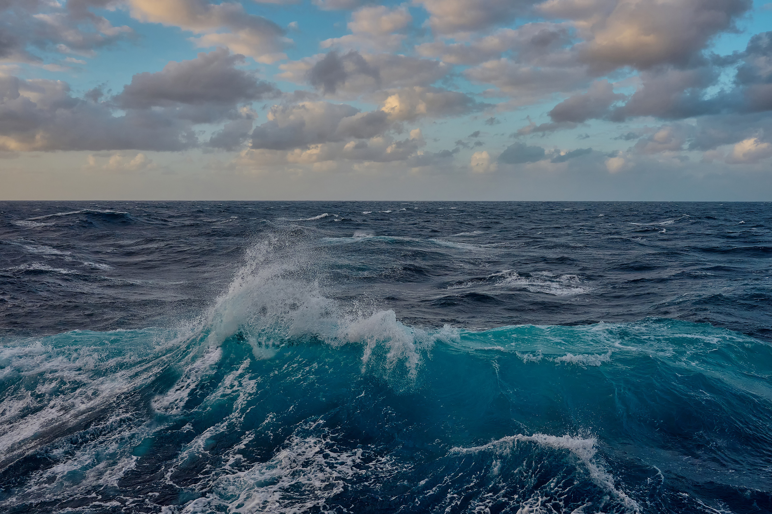 Чудище морское, образованное пеной, на гребне океанской волны, Океанские волны