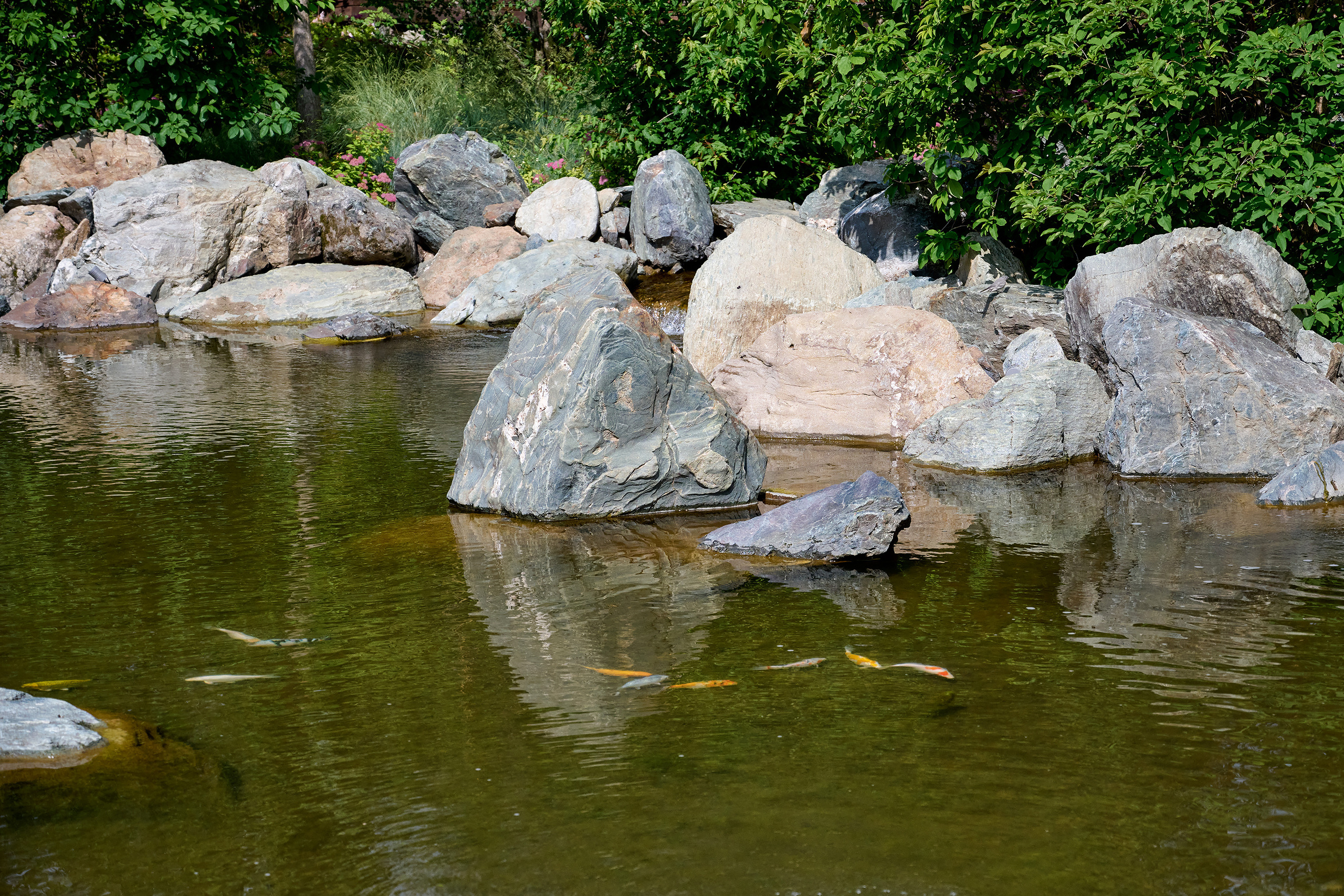 Парк Краснодар, парк Галицкого, Японский парк