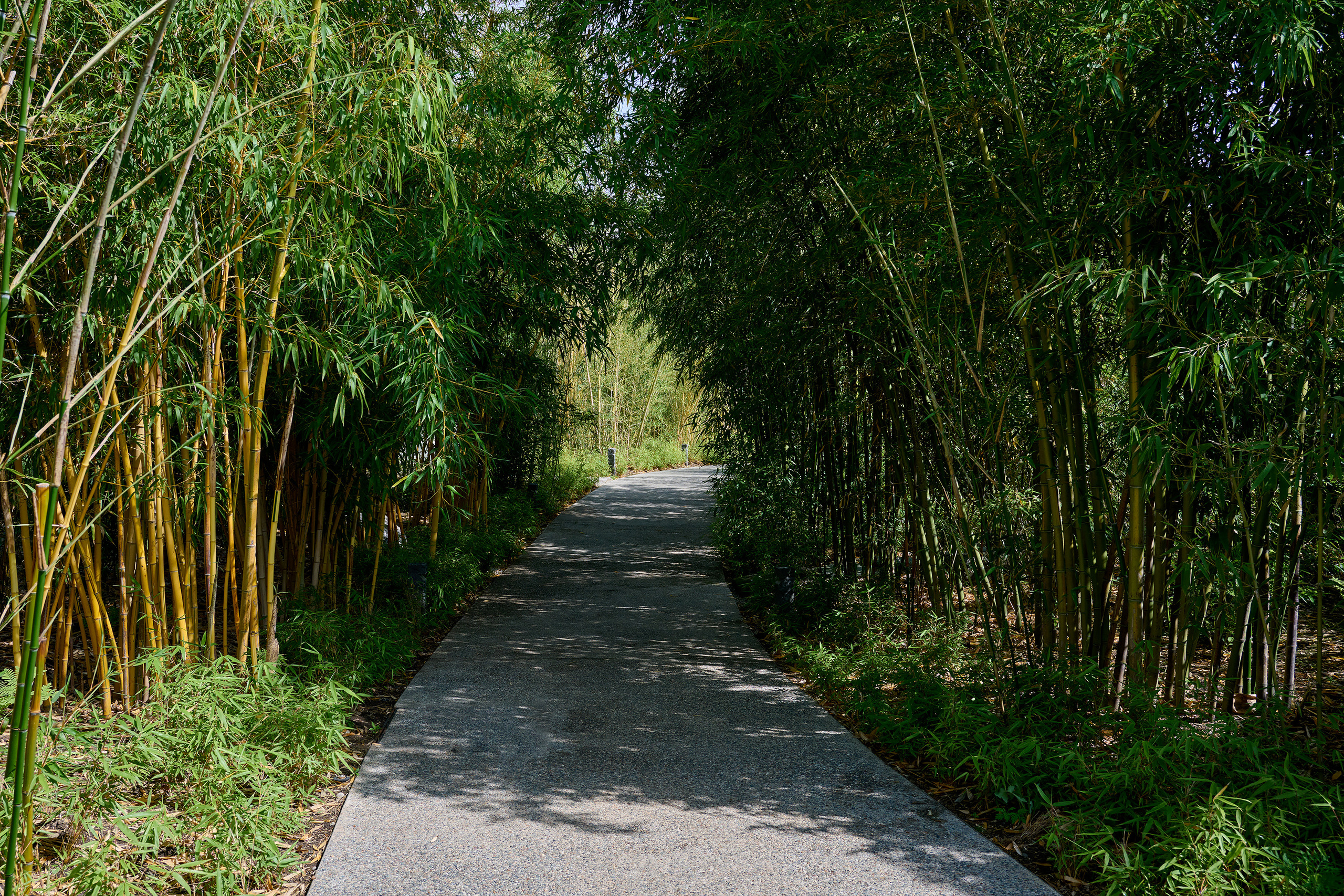 Парк Краснодар, парк Галицкого, Японский парк