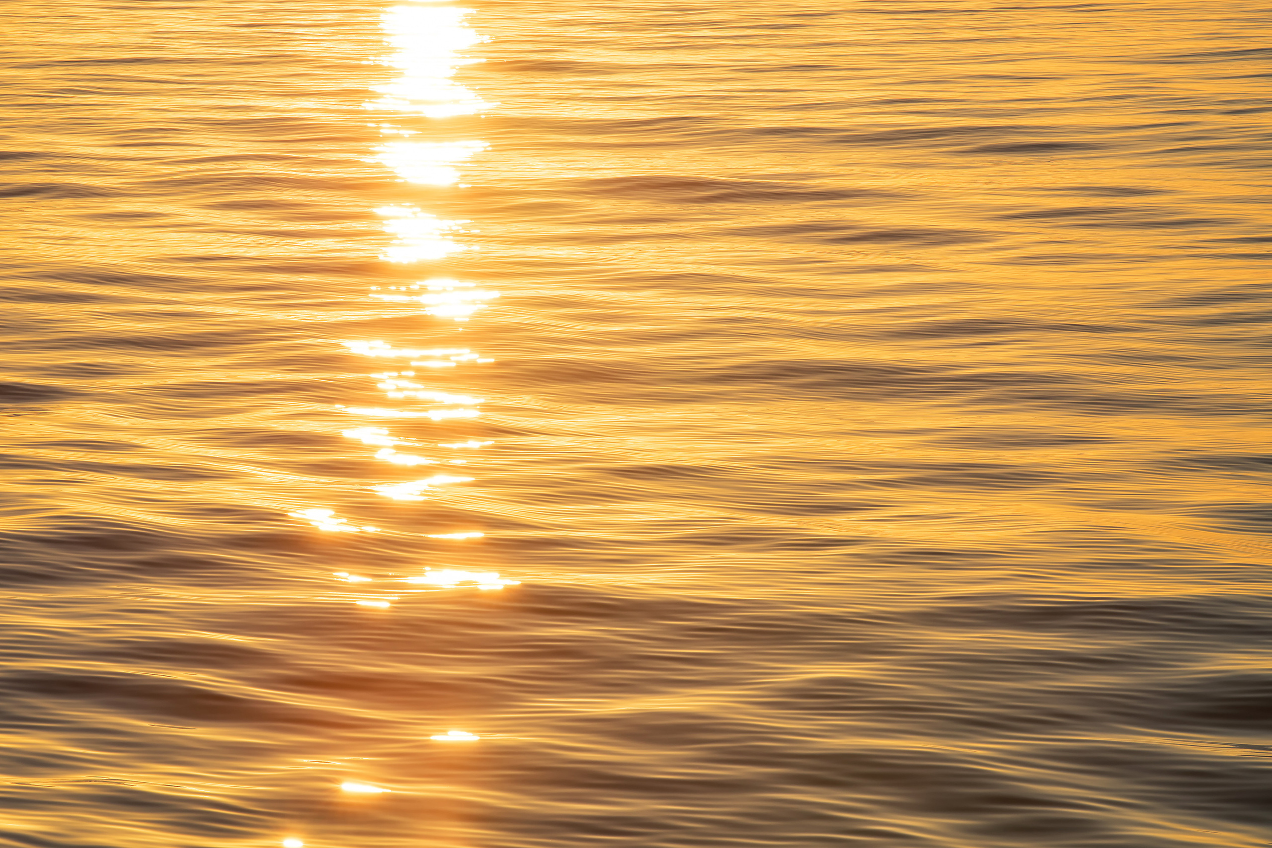 Золотистые блики на поверхности моря во время заката