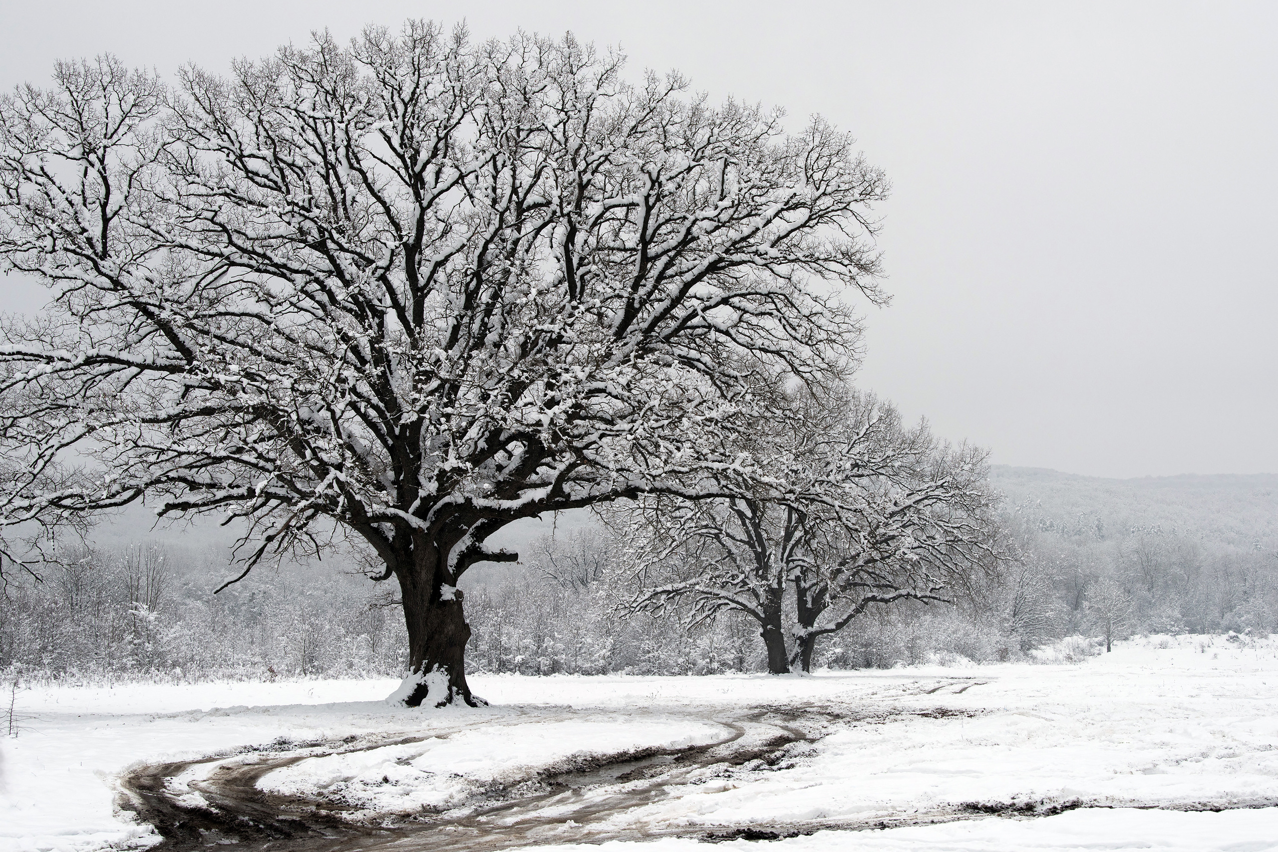 Яркие фото на Чёрном море