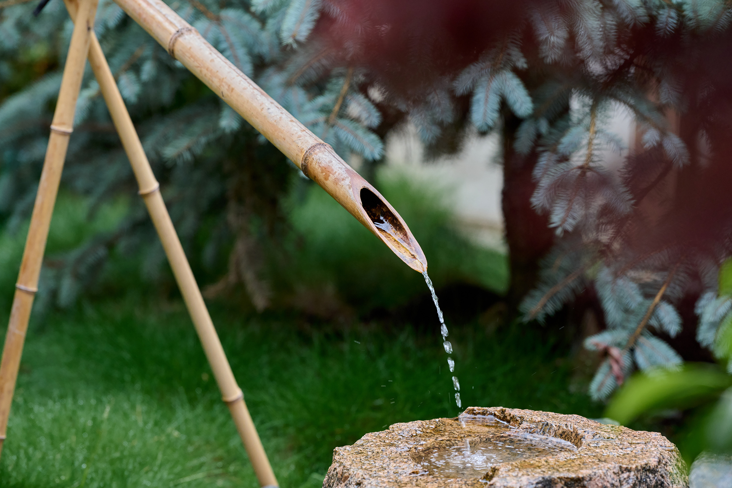 Парк Краснодар, парк Галицкого, Японский парк