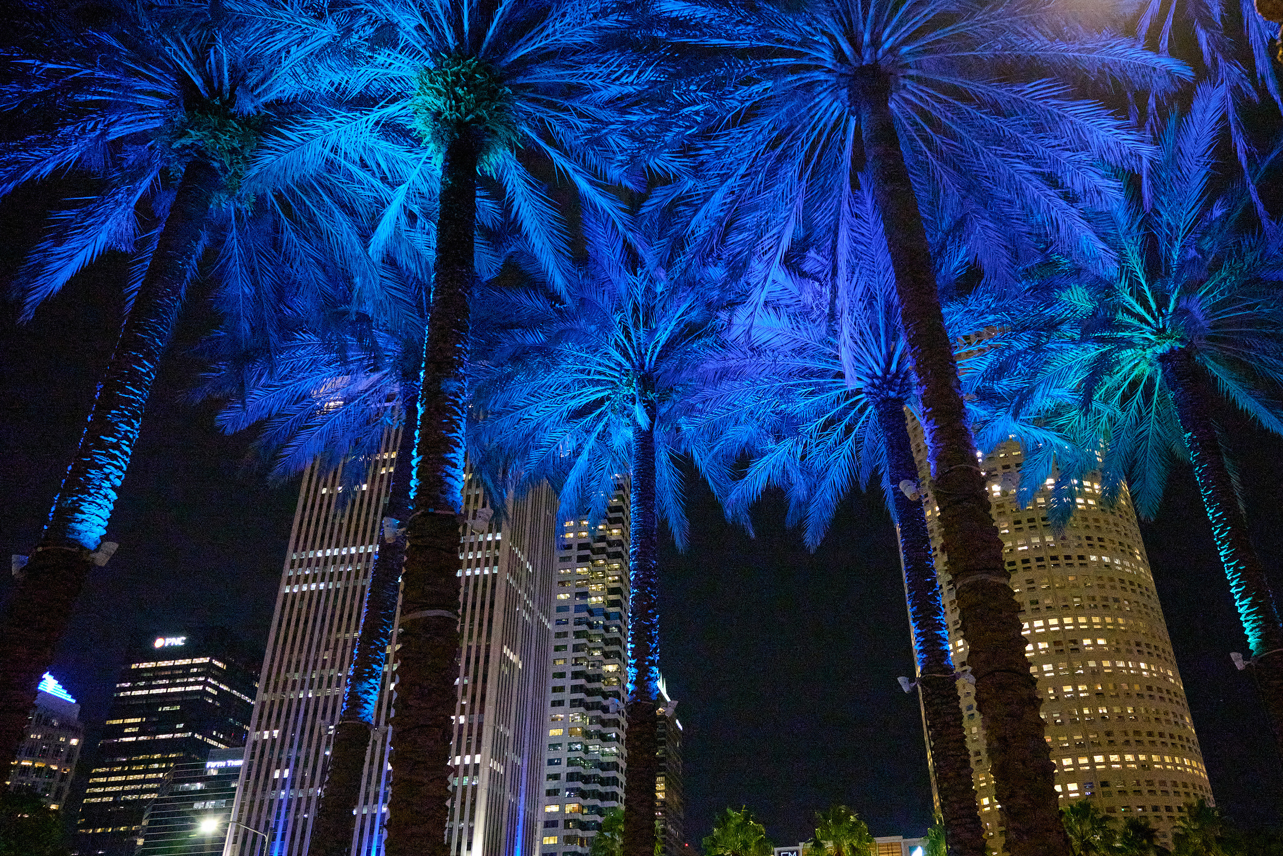 США, Тампа, USA, Tampa