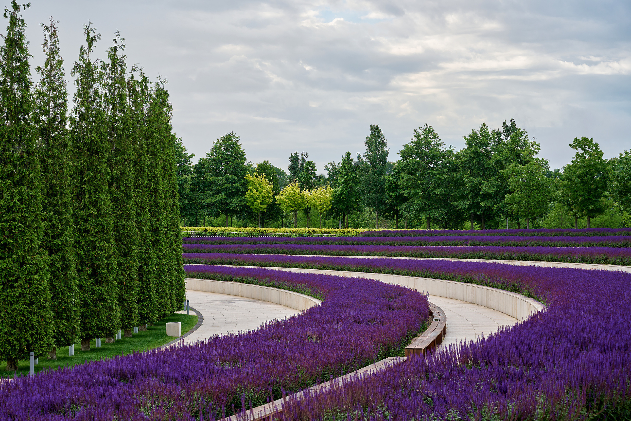 Парк Краснодар, парк Галицкого, Японский парк
