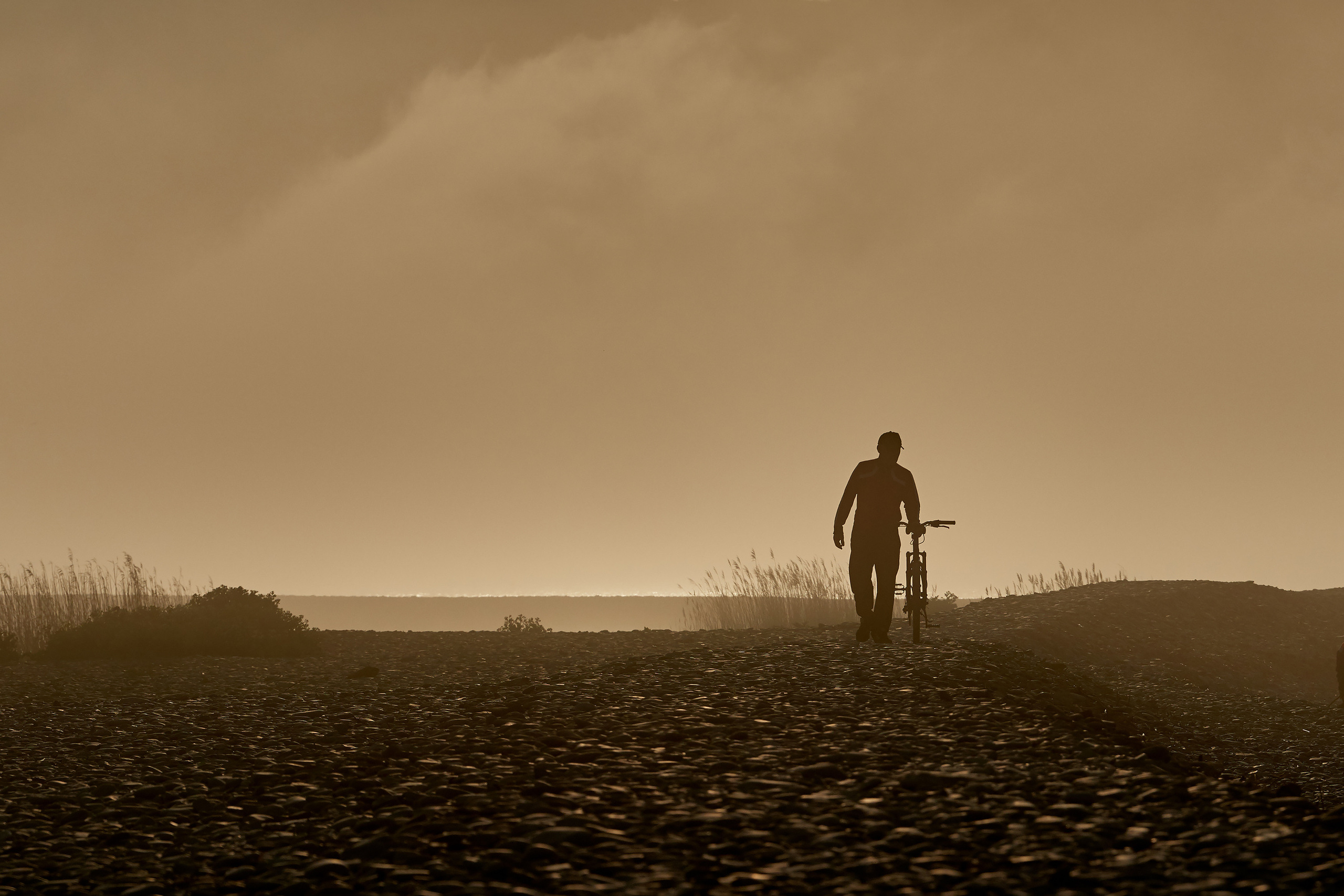 Парень катит велосипед на фоне утреннего тумана, Новороссийск