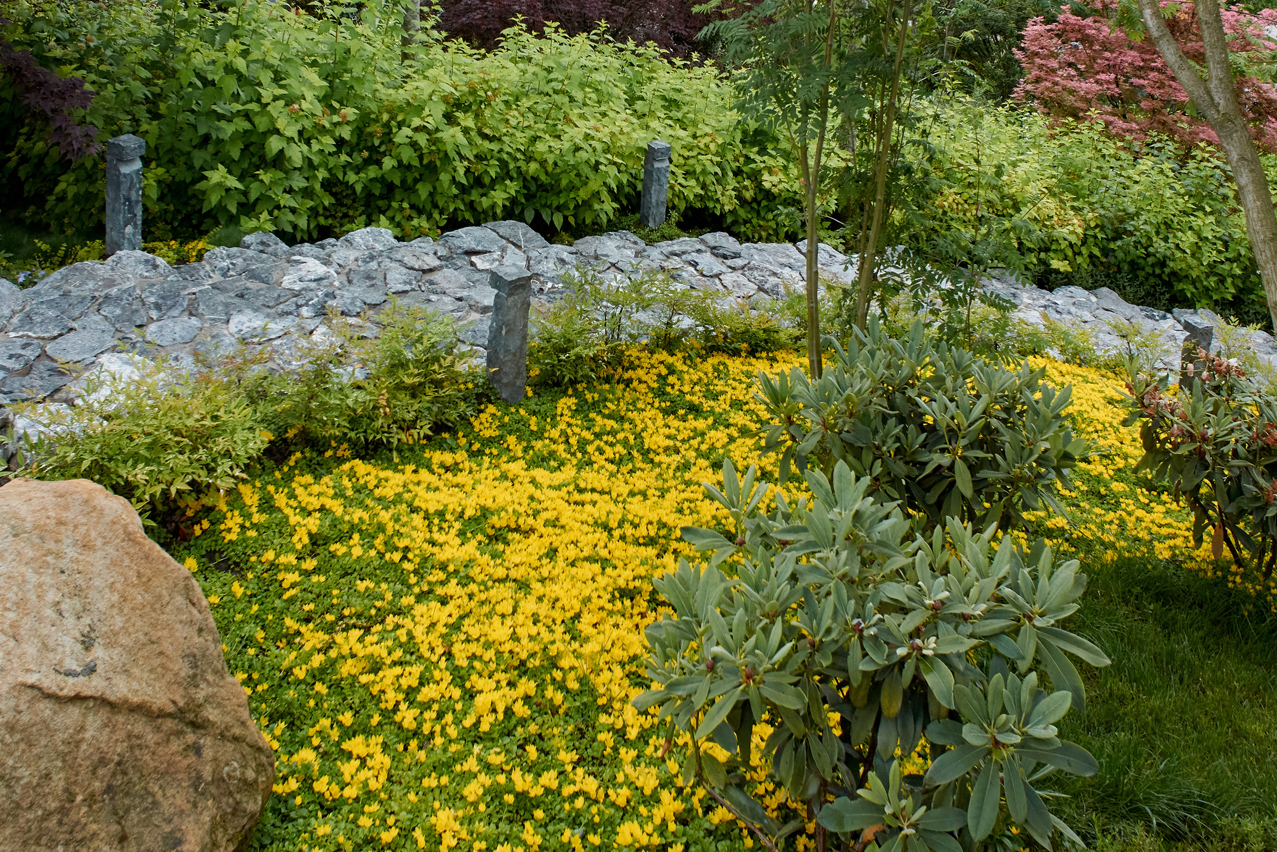 Парк Краснодар, парк Галицкого, Японский парк