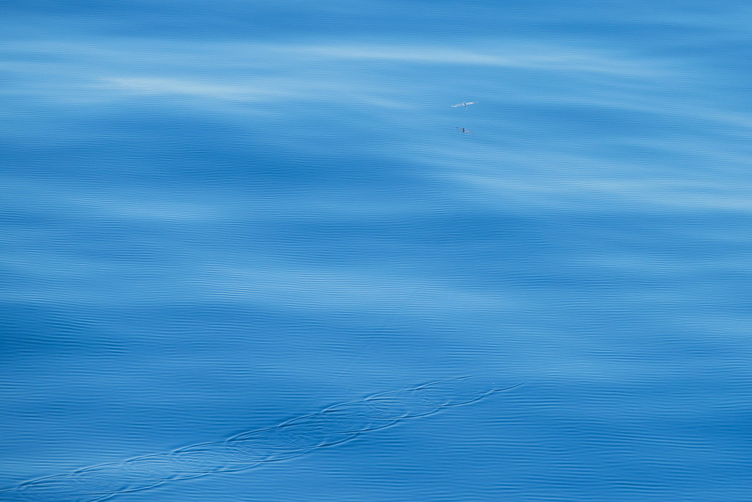 Ровная поверхность моря