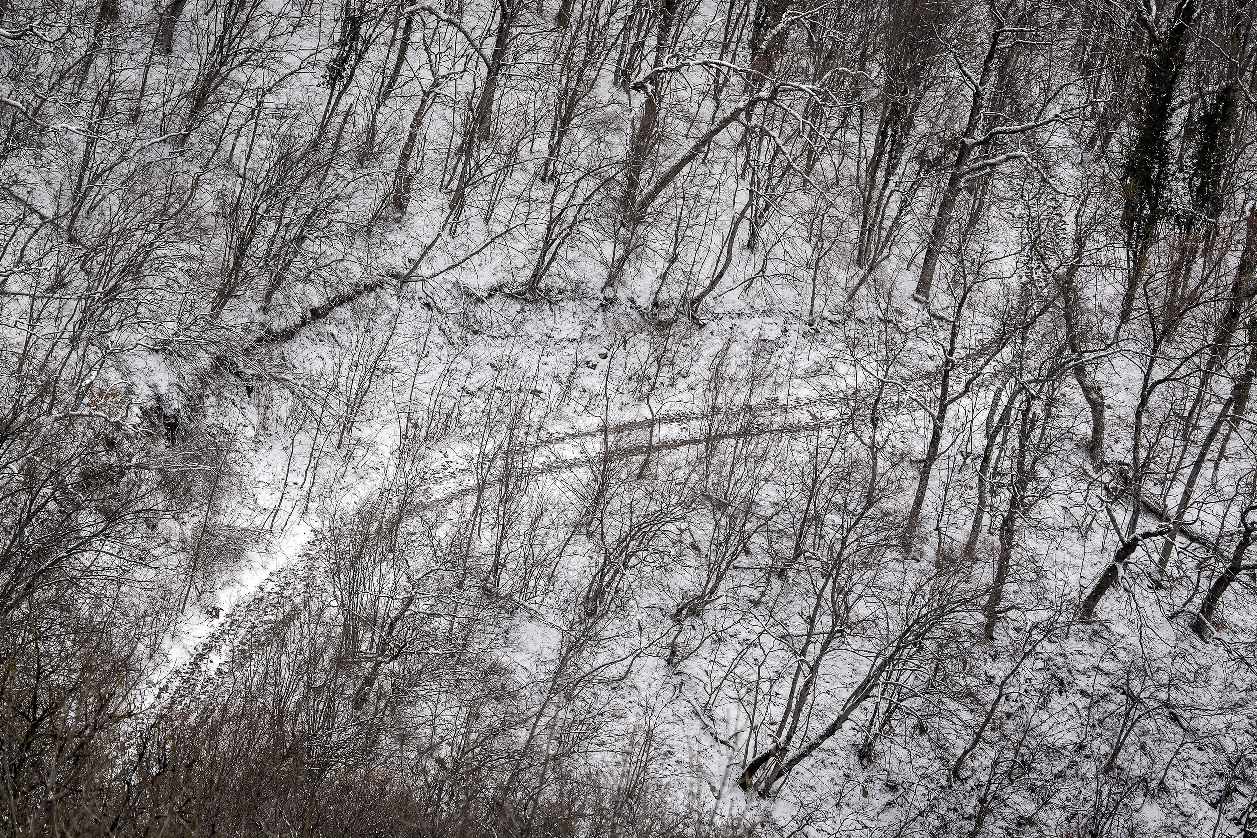 Текстура, фон - извивающаяся дорога сквозь зимний лес